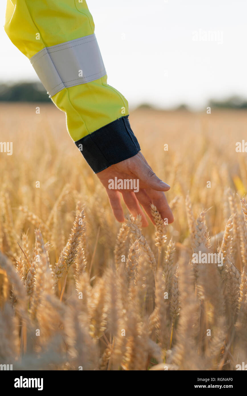 Nahaufnahme der Mann in Arbeitsschutzausrüstungen in einem Feld Stockfoto