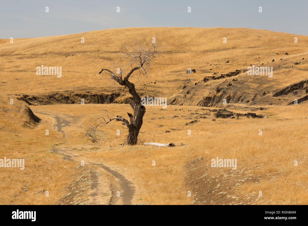 USA, Kalifornien, Carmel Valley Stockfoto