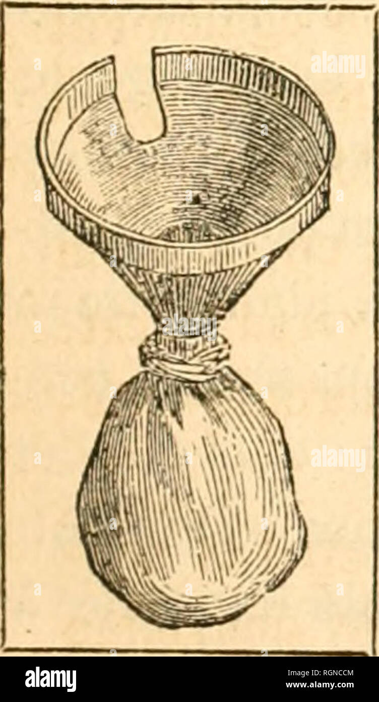 . Bulletin d'insectologie Agricole: Journal mensuel de la SociÃ©tÃ© Centrale d'apiculture &Amp; d'insectologie. Schädlinge und nützliche Insekten. LES INSECTES DE LA VIGNE. 21 les dcposcnl en pclitcs Plaketten à la face infÃ©rieure dos-Feuilles: rÃ©ciosion a lieu Huit ou Dix jours Après-ski la Ponte; Les Petites larves restent^ surla Feuille dont Elles mangent le Parenchym, puis Après-ski vingt jours Elles se mÃ©tamorphosent en Nymphes, qui deviennent insectes Parfaits huit ou Dix jours Après-ski. Ajou - Tonnen que l'altise produit deux gÃ©nÃ©Ration d'insectes parfaits Pendant l'Ã©tÃ©, seulement la DerniÃ¨ Stockfoto