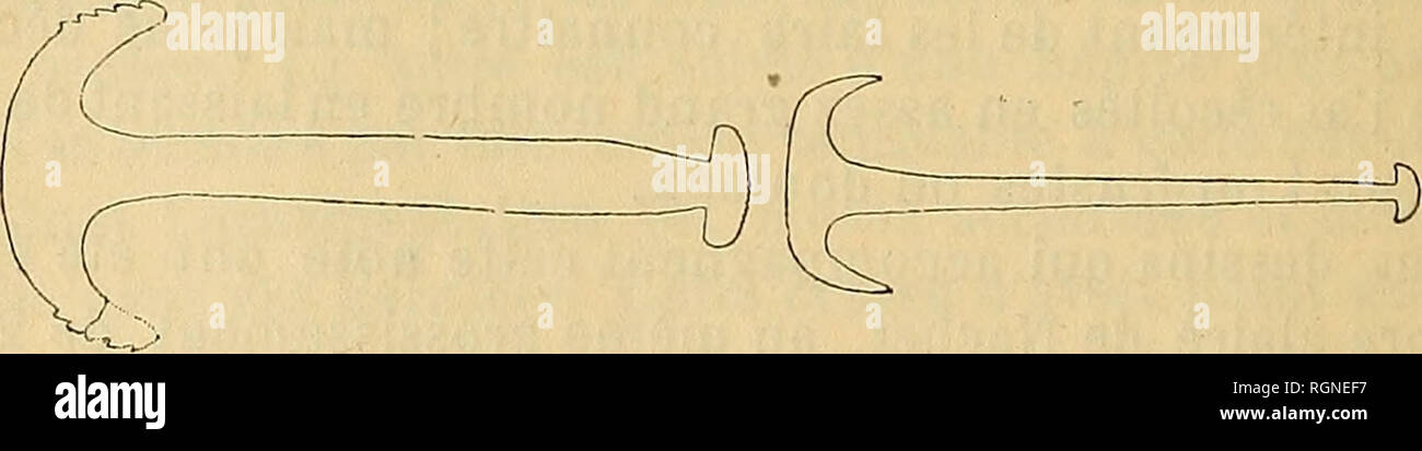 . Bulletin de la SociÃ©tÃ© gÃ©ologique de France. Geologie. Abb. 1 Fi?. 2 Abb. 3 J'ai rÃ©uni ces spicules Sous un-mÃªme nom SPÖ © cifique, mais Il est Probable que ces Plaketten appartiennent en rÃ©alitÃ© À deux ou Trois es-pÃ¨ces; dans les tous les spicules Synapta vivants d'une mÃªme ESPÒ ¨ ce ont mÃªme la forme, Tandis que l'on peut remarquer sur les Abbildungen 1, 2, 3 des difl'Ã© Hinweise assez sensibles dans le Nombre et la disposi- tion des trous. La seconde est plus Ã© par le Bas et prÃ©Sente, de mÃªme que la troisiÃ¨me largie, Vers la Pointe, deux trous circulaires Beau-Coup * accusÃ© s dans la Stockfoto