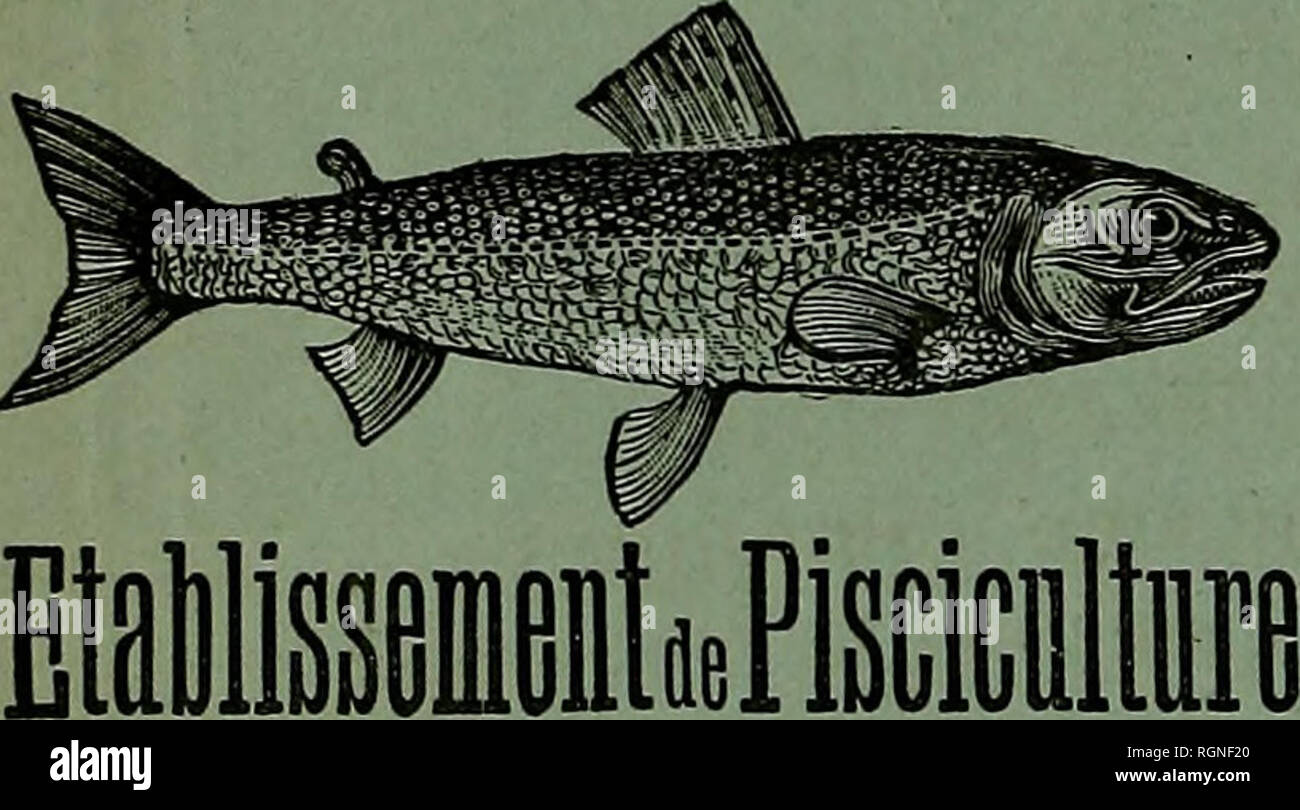 . Bulletin de la SociÃ©tÃ© nationale d'Acclimatation de France. Zoologie. IJbrairio agricole tun La maison rustique, Rue Jacob, 26, h Paris JOURNAL 51 Â° ANNÃE Sl' ANNÃE D'LANDWIRTSCHAFT PRATIQUE FondÃ© en 1837 par Alexandre BIXIO RÃDACTEUR EN KÜCHENCHEF: M. EDOUARD LECOUTEUX PropriÃ©laire - Agrioulteur, Professeur d'Landwirtschaft au Conservatoire des Arts et MÃ©Tiers, Professeur d'Ã©'économie rurale à l'Institut agronomique. Le plus Ancien et le plus wichtige des journaux agricoles. Â Traite SPÖ © cialement toutes les Fragen d'Agri Culture et d'Ã©'économie rurale". Â ParaÃ® t toutes les semaines par livraison de Stockfoto