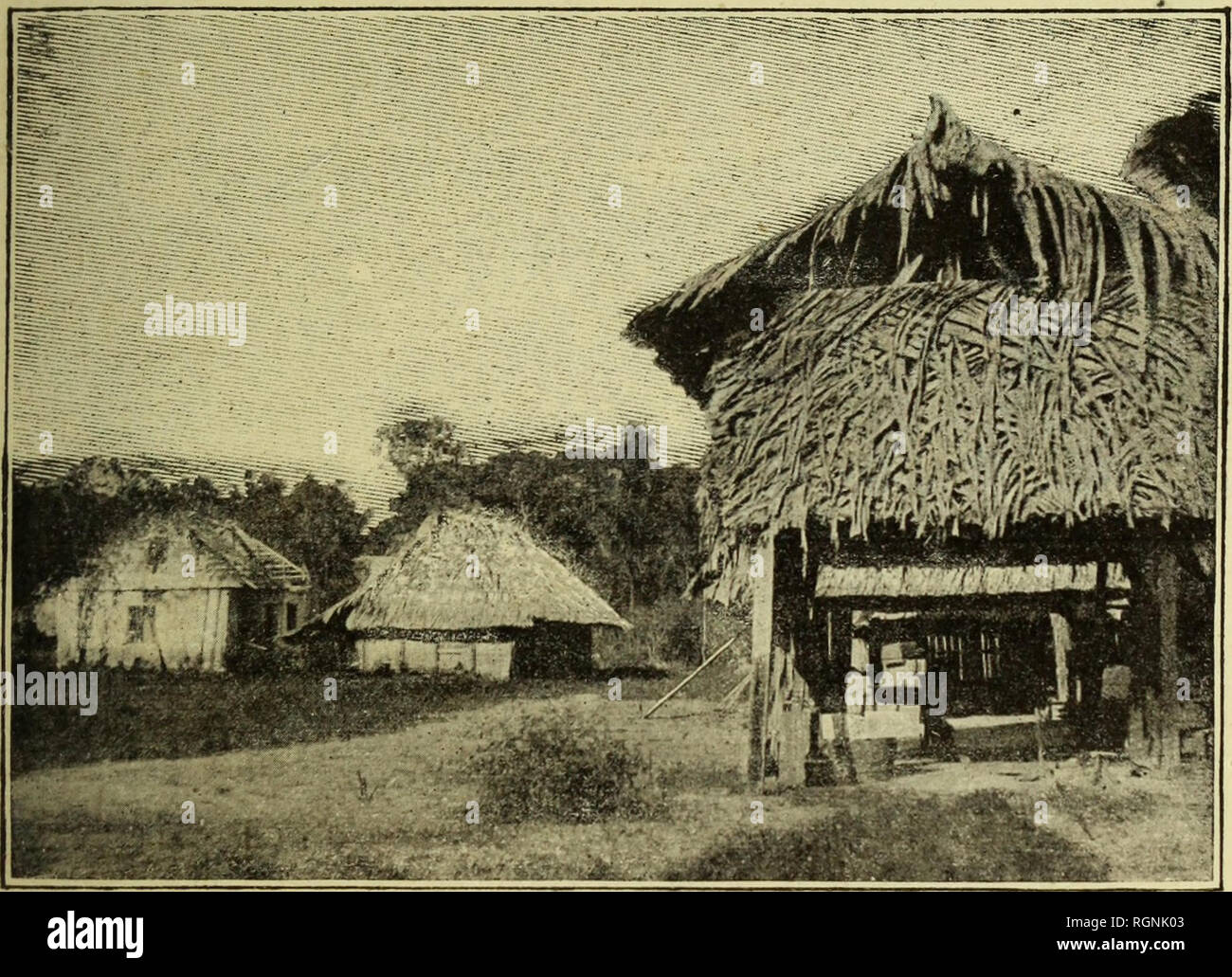 . Bulletin du MuseÌum d'histoire naturelle. Natural History. Â 151 â Ces {Jens noyii connaissance de rintdriour que par la lÃ© Gendes mehr oder weniger fantastiques, qu'ils redoutent, et ce que Leur en. montre l'ossature des mornes, dont les Silhouettes" es et estompÃ boisÃ©es de Gris se pj ofilent dans le lointain. Sur l'emplacement de l'ancien site pÃ© nitentiaire de l'Oyapock, dont une trÃ¨s minime Nebenklägerin est occupe' e par le Bourg de Saint-Georges, il ne subsiste que quelques rares masures croulantes qui vont s'affaissant une à une, sans aucune Vorläufige de Restauration.. Vue d'une rue de Saint-G Stockfoto