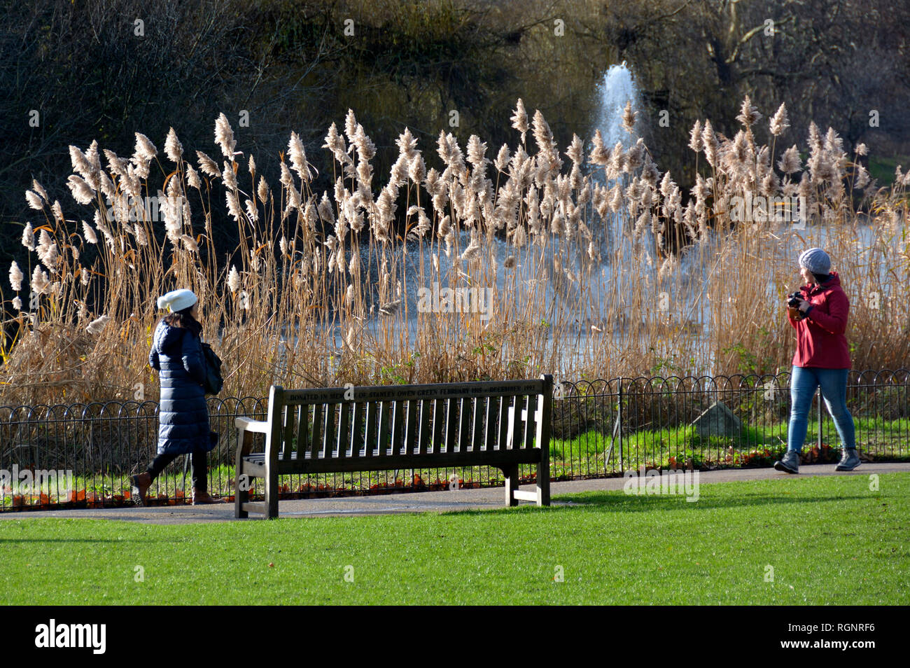 St James's Park im Winter, London, England, UK. Stockfoto