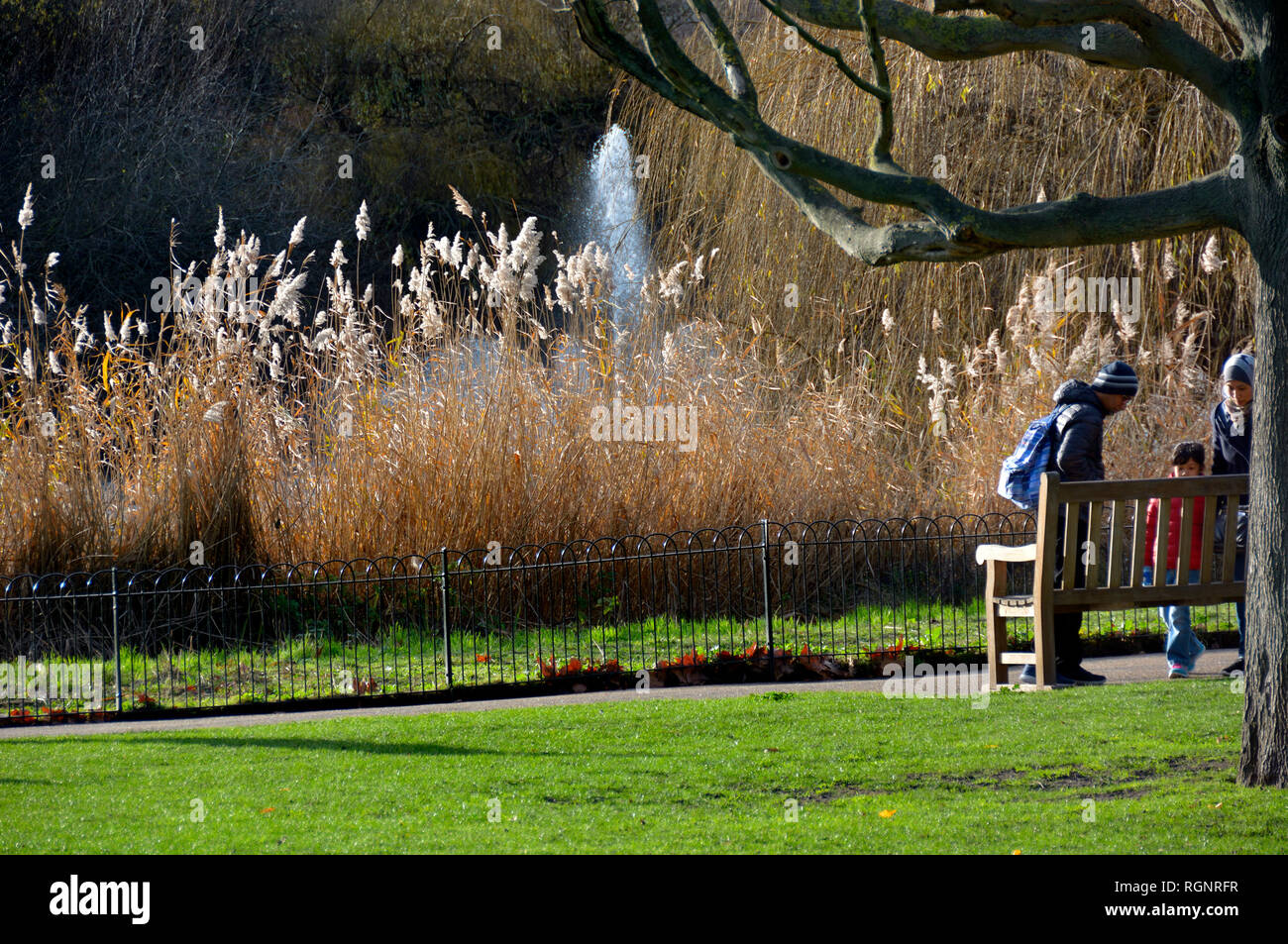 St James's Park im Winter, London, England, UK. Stockfoto