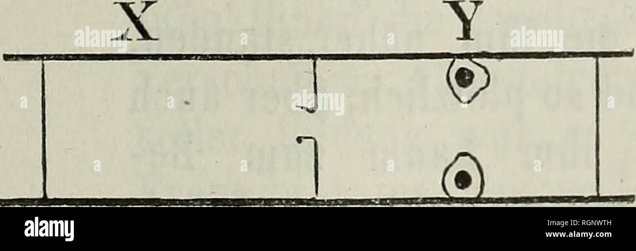 . Bulletin de la SociÃ©tÃ© impÃ©riale des naturalistes de Moscou. Wissenschaft; Geologie; Naturgeschichte; Biologie. IE L V. lzrll,. 2 I&gt;", 23. 13,25 13,7Â", 14: S 1 3,76 18,11 11. 17 18 20 18 20 Ñ 1' Ð. 7,2S Ñ 17 Auf" von CO7 00 8 orf r^T 17 17 Id Ð³ -  18 16 CO-CD u. ;;;;;;;; 00 Ð³ Ñ 0 Ð" Ð¿ * n 18 L 8 L 6 Â "00 00 9a GO I-Â'^â ¢ â"^1 - 1 24 - 15 11 10,5 14 14,5 10,5 14^ Ñ ll, ich ÑÐ³Ñ ÑÐ¾ 2 Ð±â 11,5 cm 14,5 10,5 cm 15,7 cm 11 13 12,,: 26 15,5 11,5 w 0,7 Ich Ol • "15 10 10". L3 11 12, 16 11,75 U2 LI, Â"Â" Ich: &gt; ÑÑ 23 13,7 5 10 14 15 9,5 12 12,5 13:10 15,75 14,1-5 10 13,21 12,25 20 11,5 CO so Stockfoto