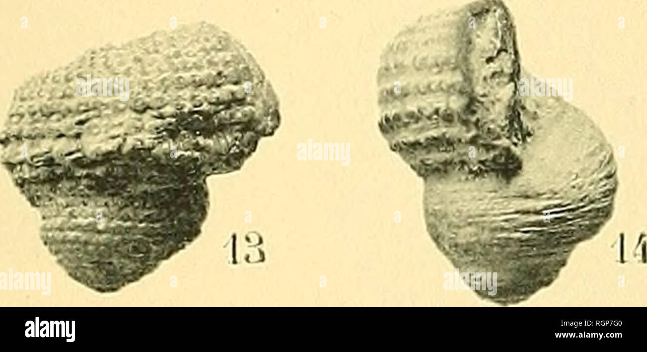 . Bulletin de la SociÃ©tÃ© gÃ©ologique de France. Geologie. M - r m. Bitte beachten Sie, dass diese Bilder sind von der gescannten Seite Bilder, die digital für die Lesbarkeit verbessert haben mögen - Färbung und Aussehen dieser Abbildungen können nicht perfekt dem Original ähneln. extrahiert. SociÃ©tÃ© gÃ©ologique de France. Paris: La SociÃ©tÃ© Stockfoto