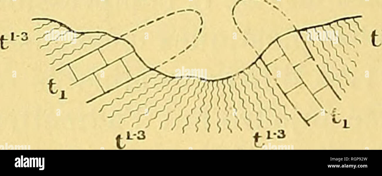 . Bulletin de la SociÃ©tÃ© gÃ©ologique de France. Geologie. 628 E. FOURNIER. Â BEMERKUNGEN SUR LA TECTONIQUE 19 Dez mÃ¨tre d'Ã©paisseur Ã©Tait en recouvrement, la Richtung rectiligne de ses affleurements et sa continuitÃ© sur une grande Länge seraient inexplicables absolument; Si, Au contraire, il forme l'Axe de l'Anti-clinal, cette continuitÃ© s'verhängen, ainsi que la Constance de sa direc- tion. Il y a Bien donc lÃ un liserÃ © Antiklinische analoge À celui du Vallon de l'Amandier (Allauch) et à Celui de La Cride (nerthe). PrÃ¨s de MÃ©rentiÃ¨res, M. Bertrand ein prÃ©ment signalÃ cisÃ ©© (loc. cit. Stockfoto