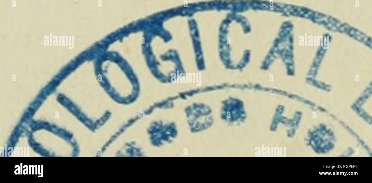 . Bulletin de la SociÃ©tÃ© royale de botanique de Belgique. SociÃ©tÃ© royale de botanique de Belgique; Botanik. (27 Ã) Remarques sur lesCttciubilacÃ ¨ Es brÃ©siliennes, et particuliÃ¨- renient sur Leur dispersion gÃ©ographique, par Alfred Cogniaux. I.-LXTHODUCTION HISTORIQUE. L'AmÃ©rique nourrit plus de la moitiÃ© des Espò ¨ ces de la famille des CucurbitacÃ © es (â ¢); mais TÃ©tude des Plantes de celte Famille qui croissent dans les rÃ©Regionen tropicales et subtropicales du Nouveau-Monde Ã©Tait jusqu'Ici peu Avan - Cà©e; si les Espò ¨ ces propres aux rÃ©Regionen tempÃ© rÃ©es de ce Kontinent sind Mieux con Stockfoto
