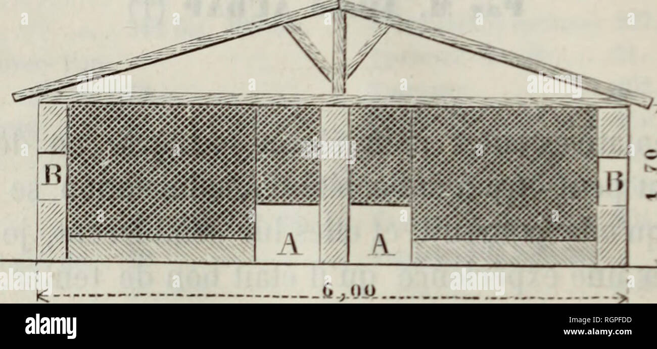 . Bulletin de la SociÃ©tÃ© nationale d'Acclimatation de France. Naturgeschichte, Zoologie. 612 Société D ACCLIMATATION.de la Basse-cour, se communiquant toutes par de petites Trap-spe et la DerniÃ¨re communiquant avec Le Chalet du Jardin par une petite voÃ "te fermÃ© e par un-Ausrichtung. Ich "Dans le passage qui Dessert la Basse-cour, La remise Aux. Petit Chalet oÃ¹ ma Première Hase ein vÃ©cu Huit ans. A, A. Portes de 0" 65. Â Grilleage Ã mailles Â" le 0 m, 03. Â Y,, li. Trapp - 0" 50 tic hauteur sur 0 m, 30 de largeur. (ProfondeÂ" Â "Lu ehalel: lm, 30.) voitures et le pressoir, deux Chambres se Stockfoto