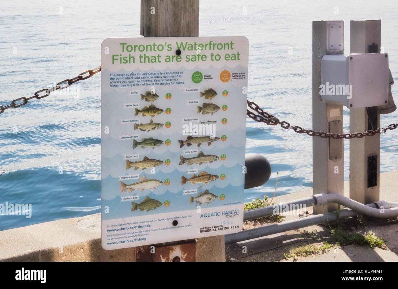 Diagramm der Fisch, der sicher zu essen sind, Lake Ontario, Toronto, Ontario, Kanada Stockfoto