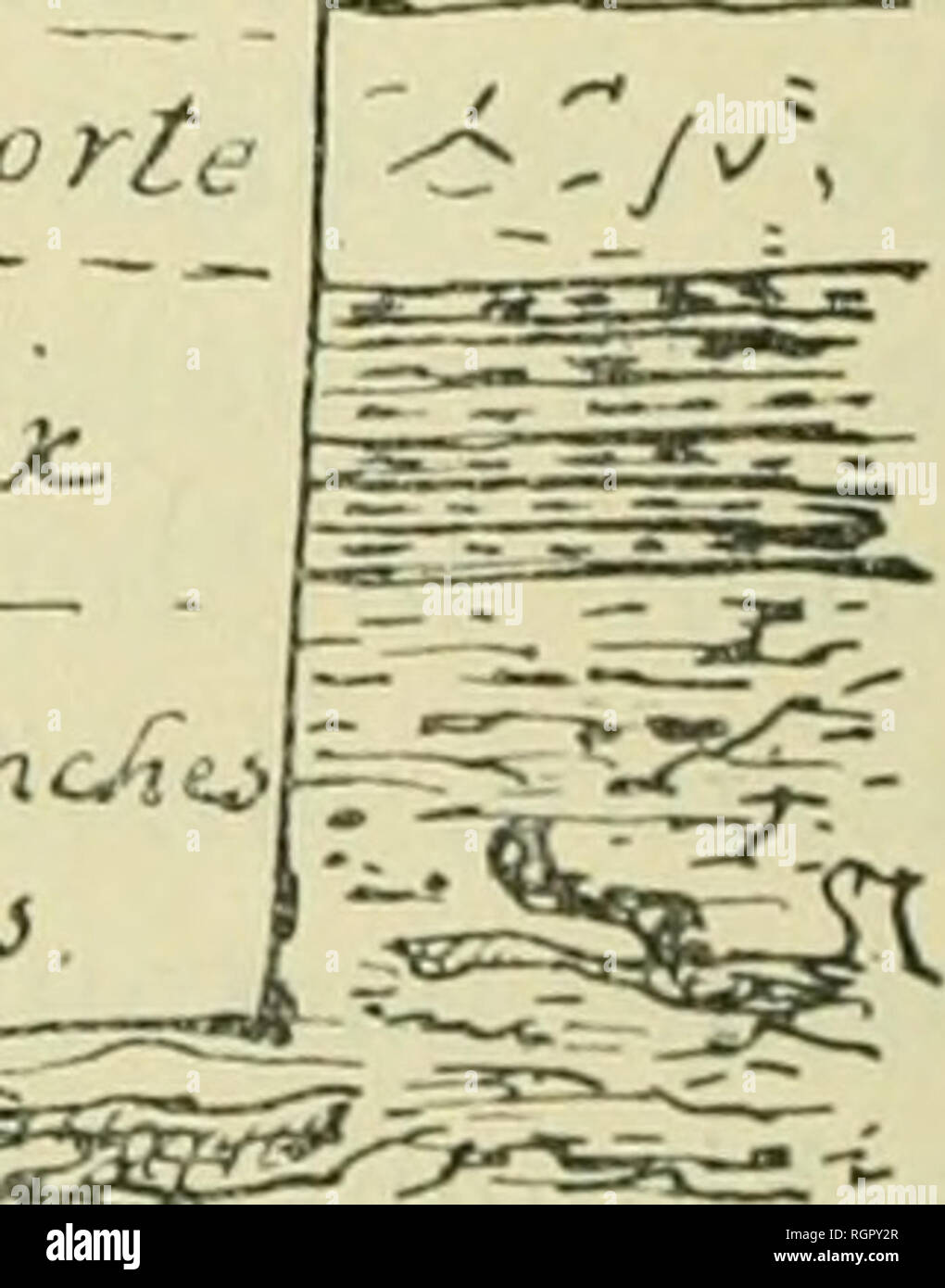 . Bulletin de la Soci neuchloise des sciences naturelles. Wissenschaft; Natural History. 158 x Zusammensetzung de la tourbe et Coupe des alluvions du Vallon Du Locle. CommuniquÃ© dans la sÃ©ance du 14 Juin 1001. Les tranchÃ © es pour la canalif-ation du Bied Du Locle ont Monti'Ã© que sous la couche superficielle de Ter-reau, Dekor Blais, alkivions Taucher, il y a Presque partout à l'intÃ©rieur de la Ville une couche de tourbe qui se trouve à des profondeurs Variablen, Pouvant aller Jus-qu'à 4-5 m. Dans la nie Daniel JeanRichard j'ai constatÃ©, en Juin 1898, La Coupe suivante: XTrccccxccn5r.^: ^3^^ s: Stockfoto