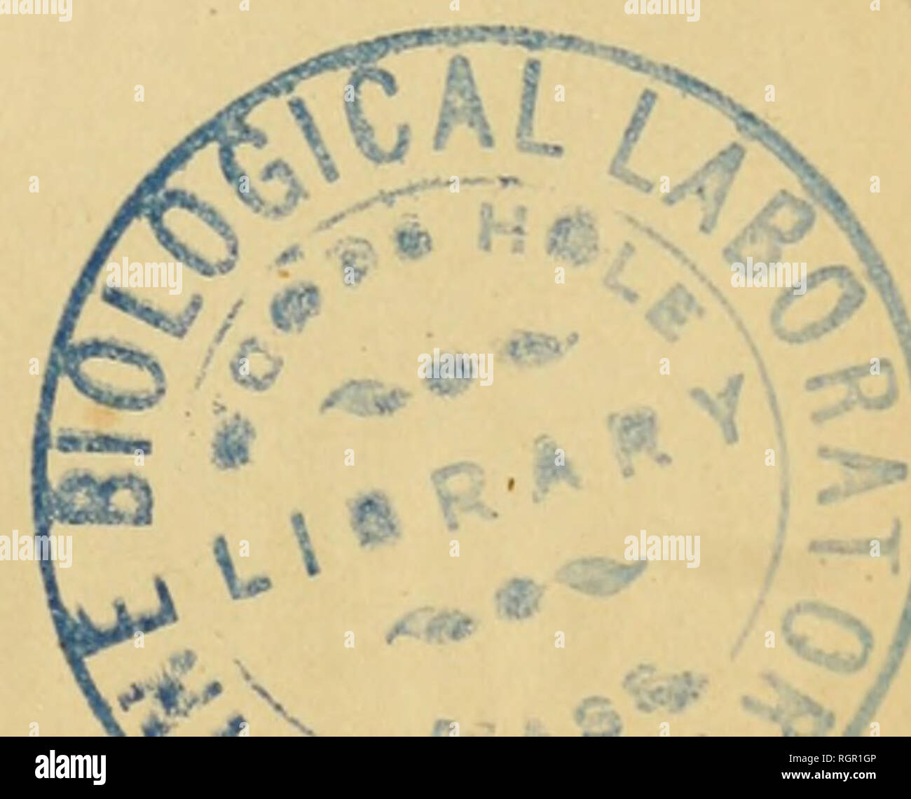 . Bulletin de la SociÃ©tÃ© royale de botanique de Belgique. SociÃ©tÃ© royale de botanique de Belgique; Botanik. (5) mm. Gilkinet (Alfred), Docteur en sciences naturelles, rue Renkin, à Liège; prÃ©sentÃ © par MM. Marchai et Bodson. Rodier, greffier À la Cour d'appel Bordeaux; prÃ©sentÃ © par MM. CrÃ©Pin et Cogniaux. La sÃ©ance est levÃ© e À deux Heures et demie. Primitiae MonogrÃ¢ phiae Rosarum. - MatÃ©riaux pour servir à l'Histoire des Roses, Gleichheit Français ois CrÃ©Pin. FASCICULE TROISIÃME {Suite). Au mois de Dekor cemhre Letzte, deux Motive m'ont fait interrompre La puhlication de Mes-Ã©tudes sur q Stockfoto