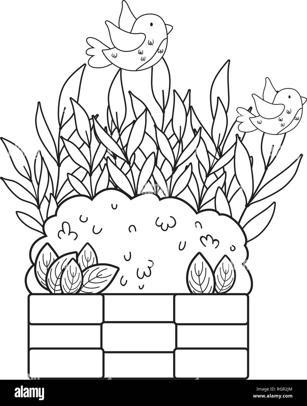 Foliate Stockfotos und -bilder Kaufen - Alamy