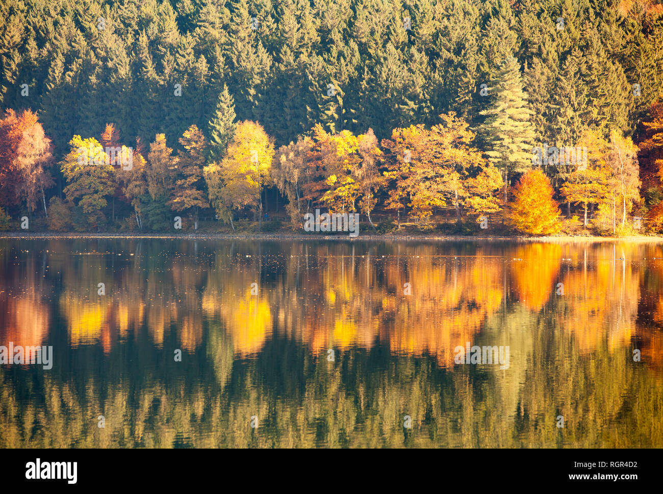 Listertalsperre Reservoir, Attendorn, Nordrhein-Westfalen, Deutschland, Europa Stockfoto