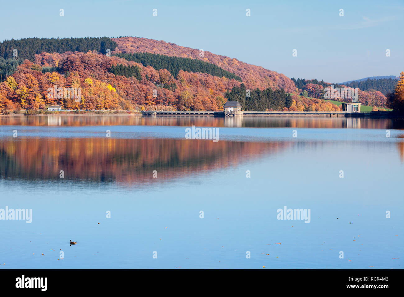 Listertalsperre Reservoir, Attendorn, Nordrhein-Westfalen, Deutschland, Europa Stockfoto