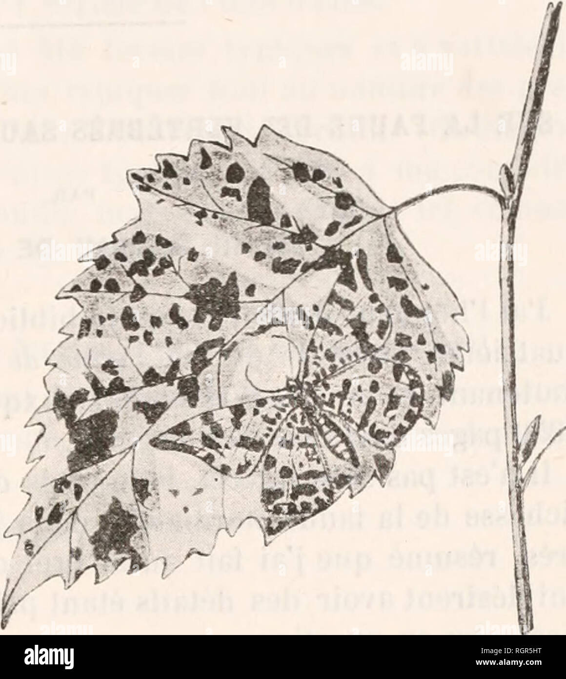 Lieu Jaune Stockfotos Und Bilder Kaufen Alamy