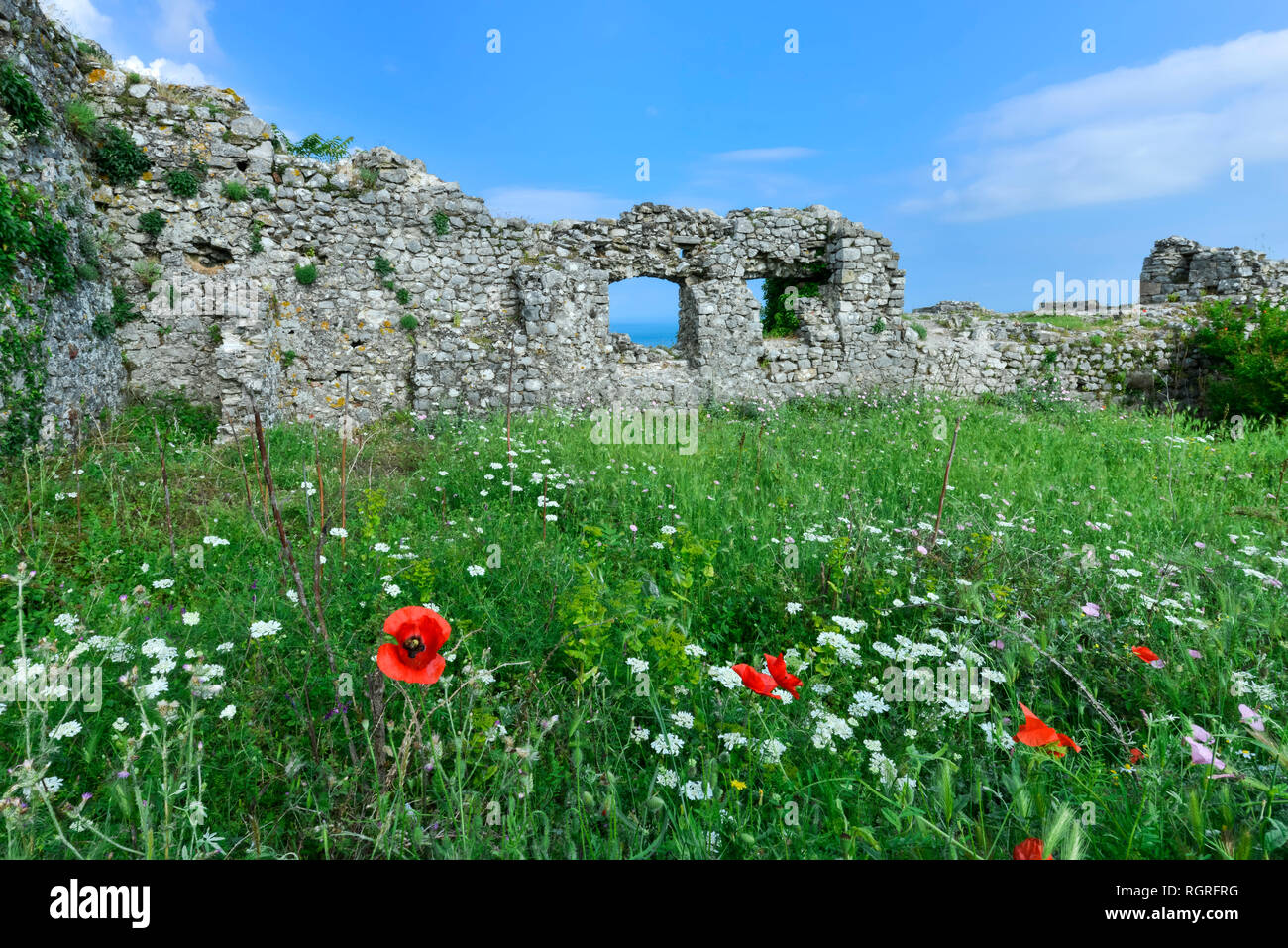 Rozafa schloss, Stadtmauer und Mohn, Shkodra, Albanien Stockfoto