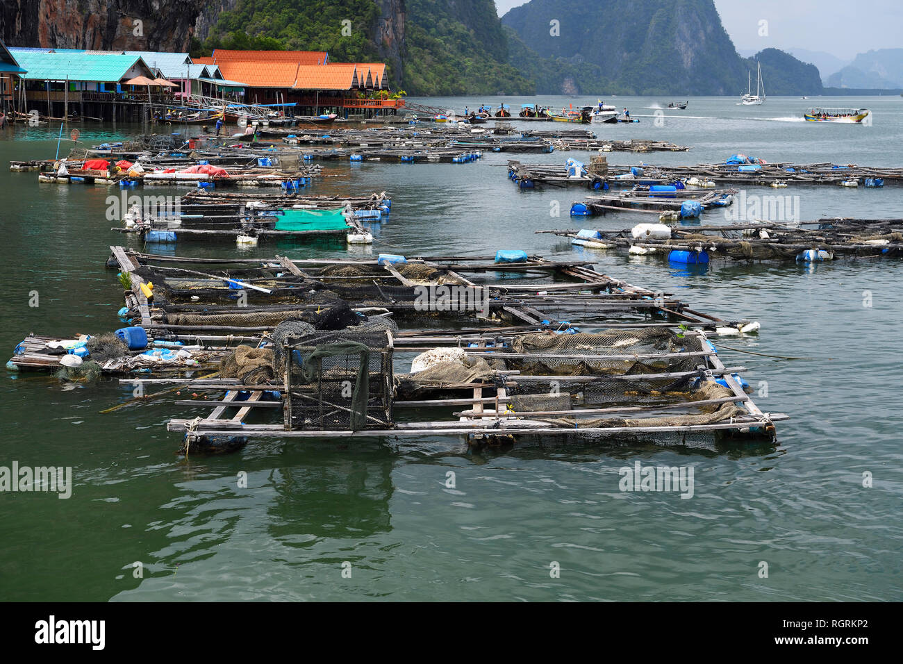 Haelterungsanlagen fuer lebenden Fisch, muslimisches Stelzendorf Koh Panyi, Koh Panyee, Bucht von Phang Nga, Thailand Stockfoto