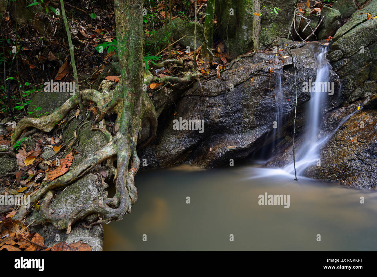 Wasserfall Kaskaden des Patong Beach, Phuket, Thailand Stockfoto