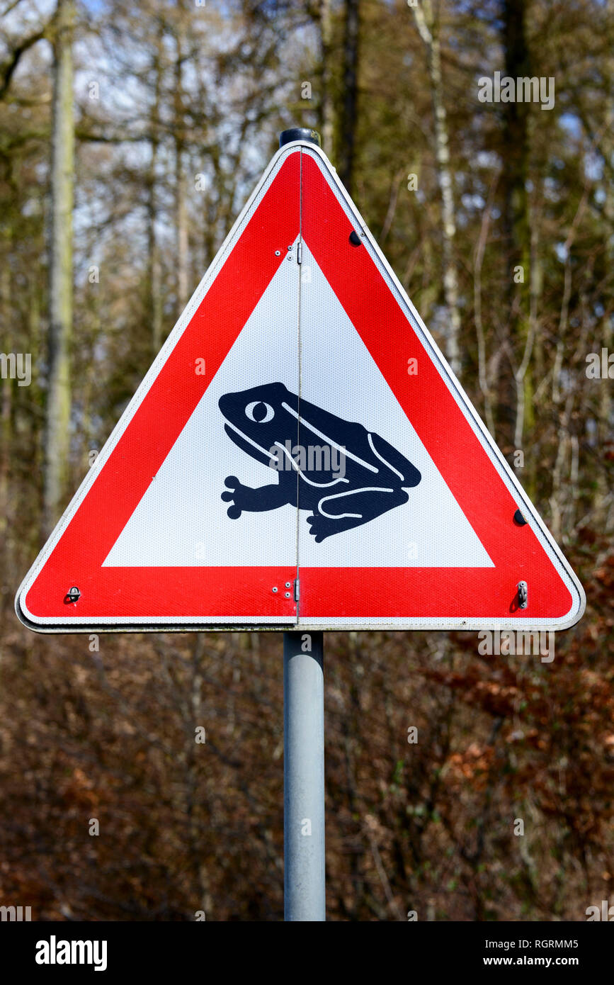 Melden Sie Aufmerksamkeit für Kröten, Niedersachsen, Deutschland Stockfoto