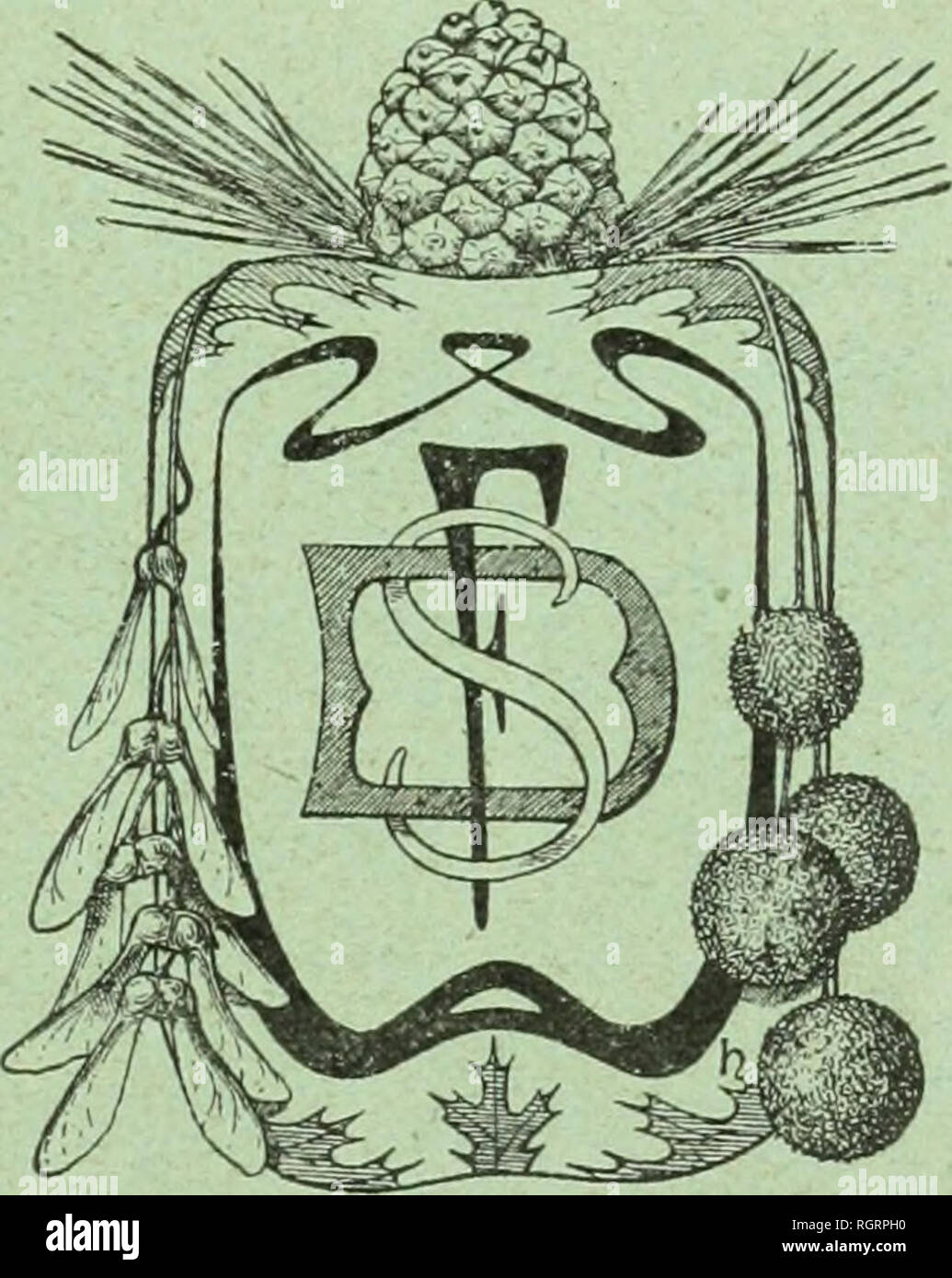 . Bulletin de la Socit dendrologique de France. Bäume; Bäume - Frankreich. N°40. 15 AoÃ"t 1921. BULLETIN DE LA SociÃ©tÃ© Dendrologique de France. Termine DES SÃANCES 46 juin 2013 1 7 novembre 21. juillet 15 Dekor cembre 20 Oktober P A SEIN. U SIÃGE DE LA SOCIÃTÃ 65, AVENUE DE LA GKANDE - ARMÃE, PARIS (16 * ARR; Adresser toute la correspondance À M. Hickel, secrÃ©taire gÃ©nÃ©Ral, 11'''", RUE CHAMP-LA-GARDE, à Versailles et les cotisations À M., archiviste - trÃ©sorier, 4, Plage du Maine, Paris (15. Arrondissement)^^.. Bitte beachten Sie, dass diese Bilder extrahiert werden aus der gescannten Seite Bilder, die haben können Stockfoto