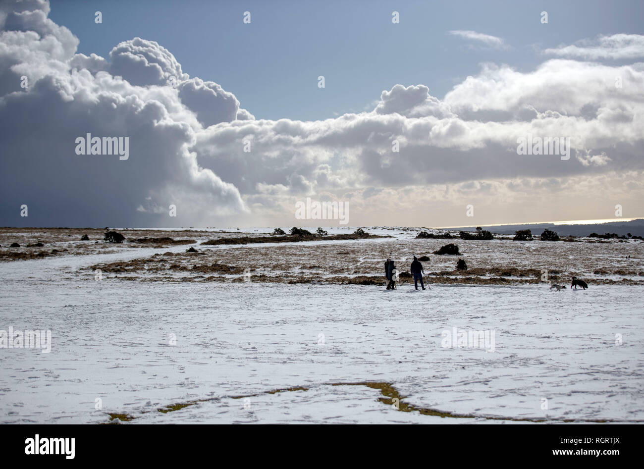 Leute, die ihre Hunde im Schnee auf den Hügeln von Broadmoor Nationalpark in Cornwall, als Großbritannien ist aussteifung Für die kälteste Nacht des Winters so weit, mit beträchtlicher Schneefälle' wahrscheinlich weitere Verspätungen und Schulschließungen zu verursachen. Stockfoto
