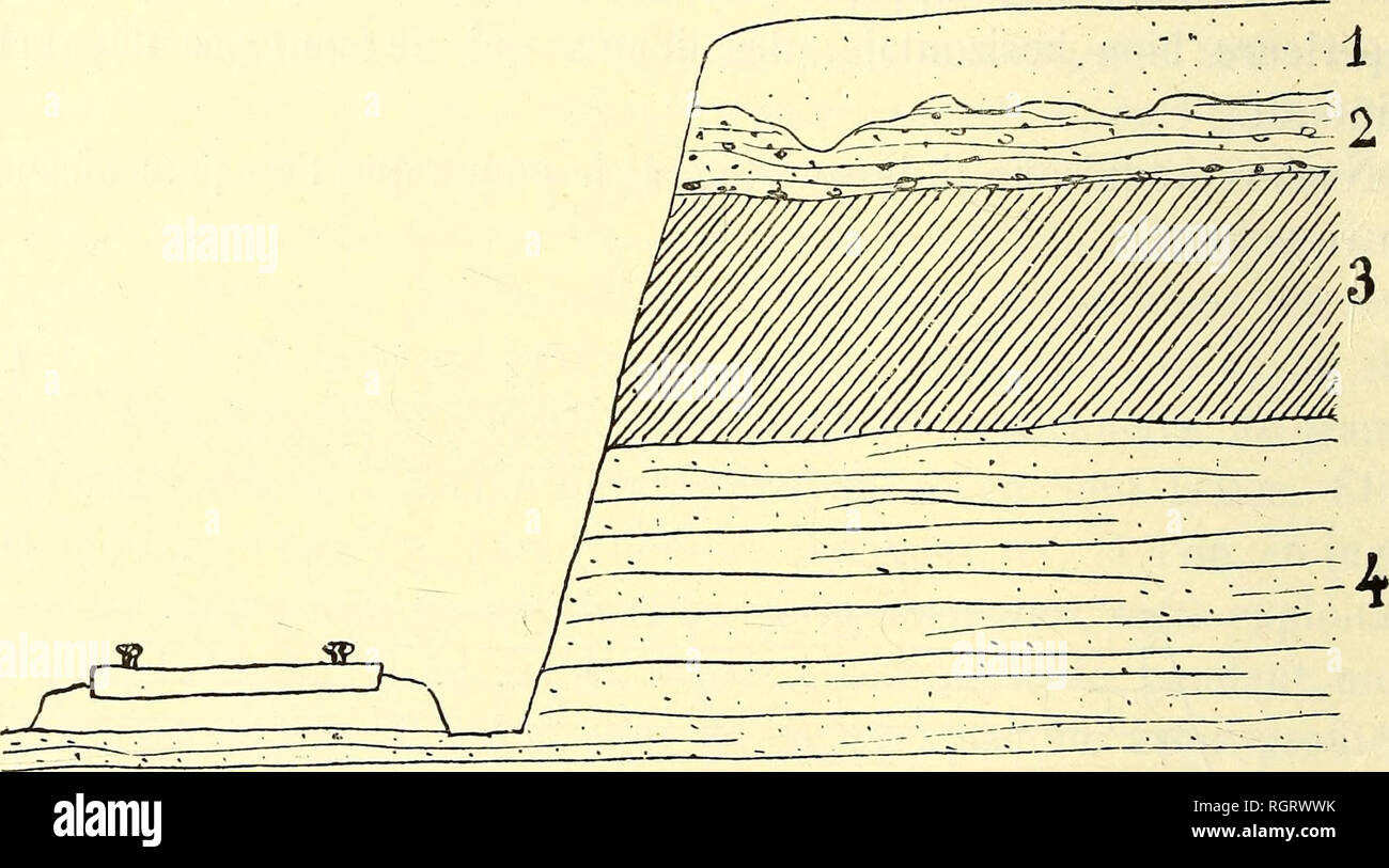 . Bulletin de la SociÃ©tÃ© belge de gÃ©ologie, de palÃ © Ontologie et d'Hydrologie. Geologie und Paläontologie. 130 PROCÃS-VERBAUX. Je considÃ¨re le Sable ligniteux {3) comme Devant^ tre rangÃ© dans le Landenien supÃ©rieur {L 2), et le fait n'a Ã©tÃ© contestÃ © par Aucun de nos confrÃ¨res prÃ©sents à l'Ausflug. Quant à l'Argile Jaune (2), Il est Ã© limitÃ vident que des Bemerkungen © es k ce Point conduiraient À la Ranger dans la mÃªme assise, Mais l'Ã©tude de la rÃ©gion Montre que nous sommes ici à l'extrÃ©mitÃ © Sud d'une Grande nappe d'Argile yprÃ © sienne qui s'Ã©neigen, Vers le Happart et Forme une part Stockfoto