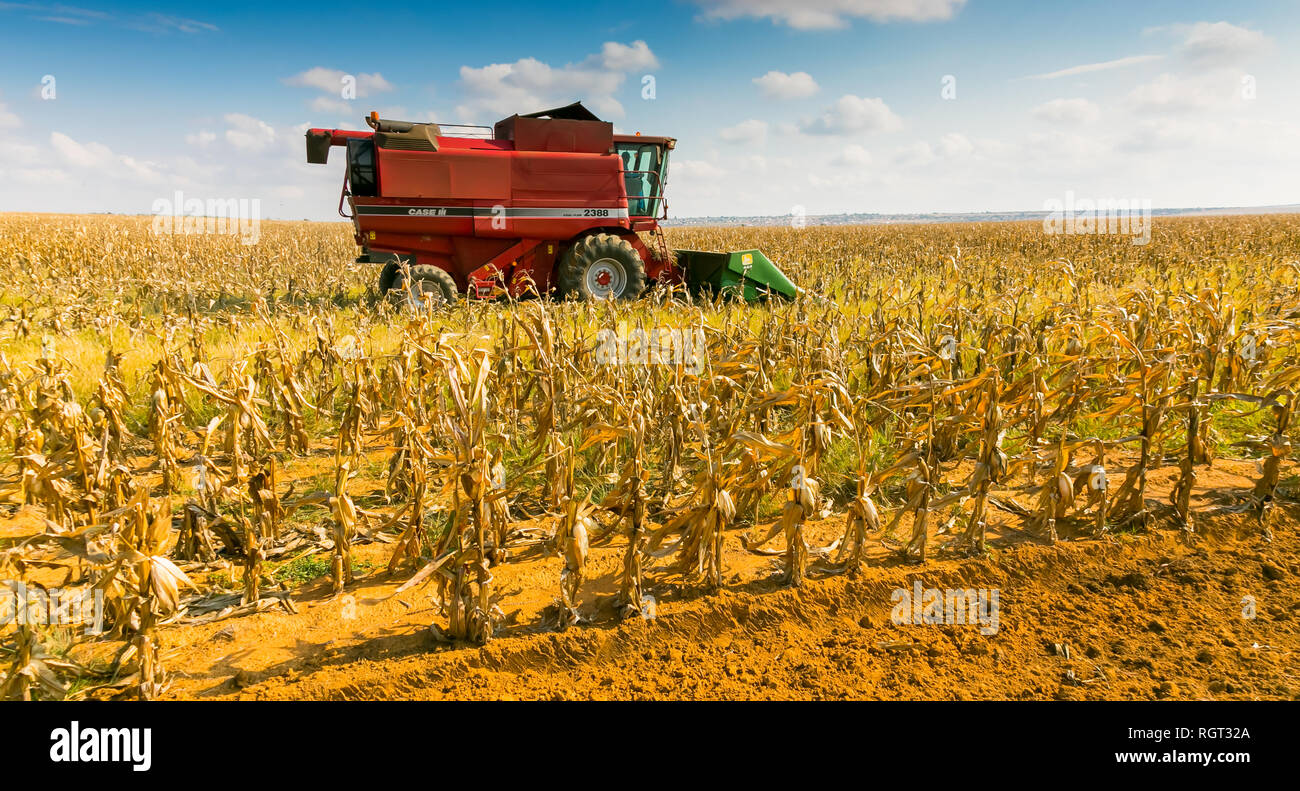 Witbank Sudafrika 26 Mai 16 Kommerzielle Mais Landwirtschaft In Afrika Stockfotografie Alamy