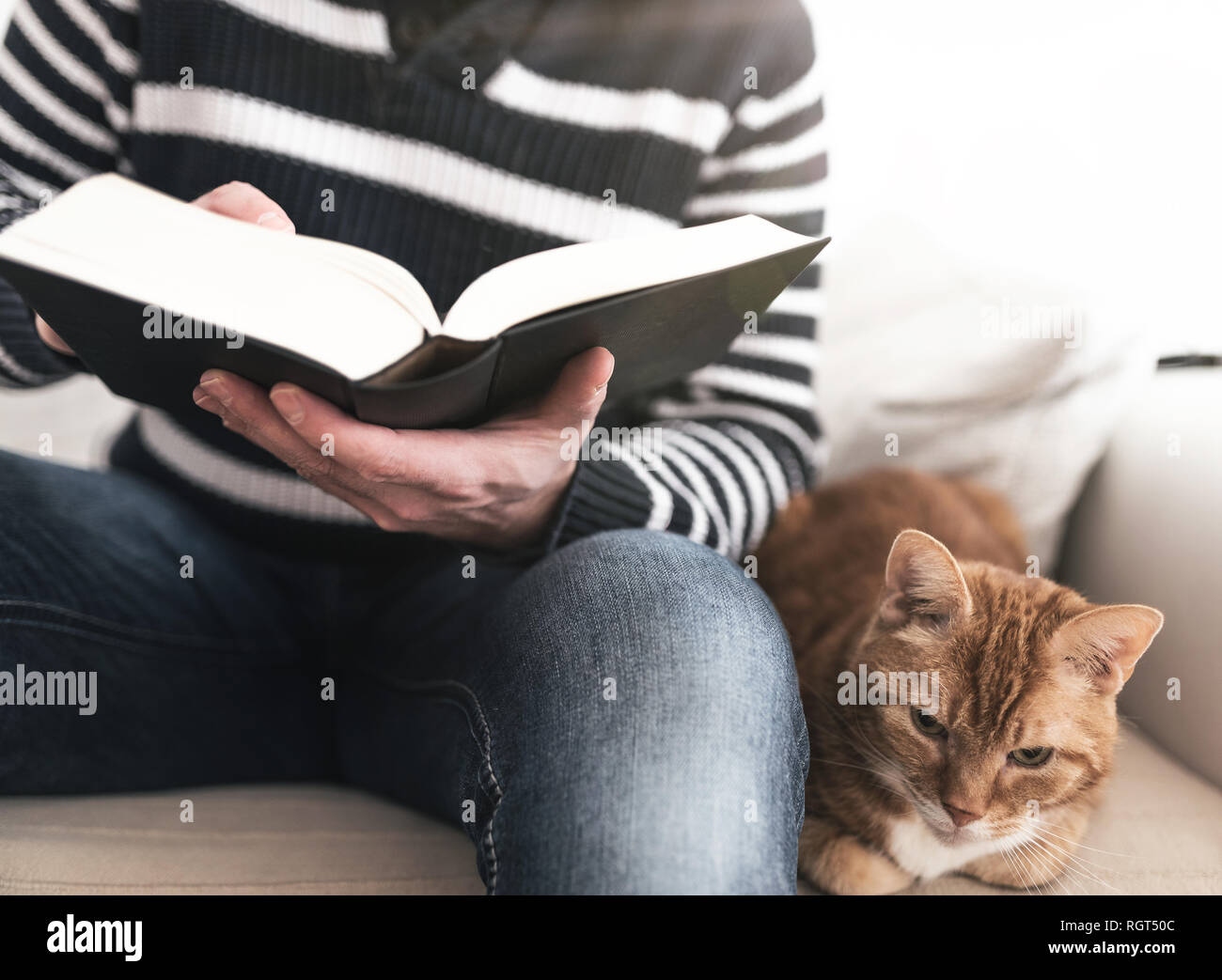Mann sitzt auf einem Sofa mit einem Buch mit Ginger cat Neben ihm Entspannende Stockfoto
