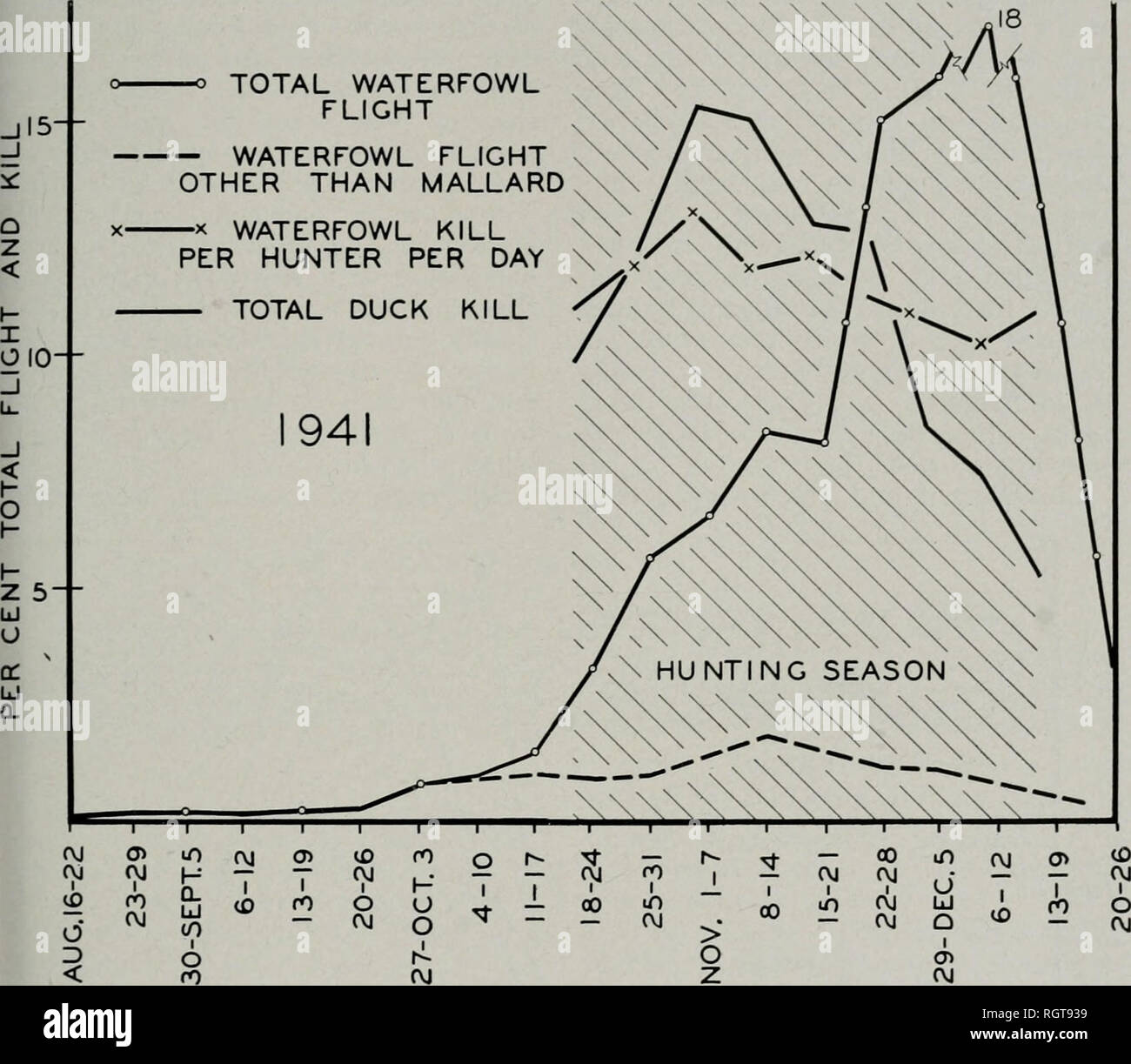 . Bulletin. Natural History; Natural History. November 1^44 Bellrose: Ente Populationen und Töten 337 kleiner ist der Anteil der Enten wahrscheinlich Während viele Instanzen können zitiert, getötet zu werden. Eine Herde von 1.000 Stockenten Begünstigung jeder Art, Veteran Ente oder bluebills über einen Blinden ist un-Jäger in der Regel geben die Kante, die wahrscheinlich viele weitere Einzelpersonen pintail zu haben. Jedoch in Illinois, die Herde - von es getötet, als eine Herde Nummerierung ing und Ernährungsgewohnheiten Stockenten und. Abb. 6. - Chronologie der Flucht aller Entenarten, und andere Arten als Stockente, Beutel pro Jäger pro Tag und t Stockfoto