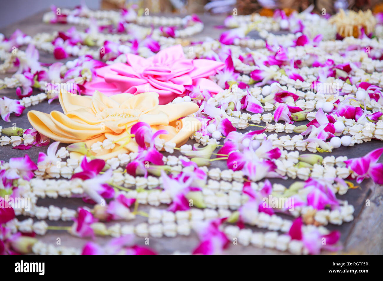 Baai Sri Fächer und mit Blumen und Girlanden im Thailändischen Buddhismus Brahman Zeremonie leben Geist der Menschen zu Konsole zu Körper zurückzukehren, und Ausdruck der werden. Stockfoto