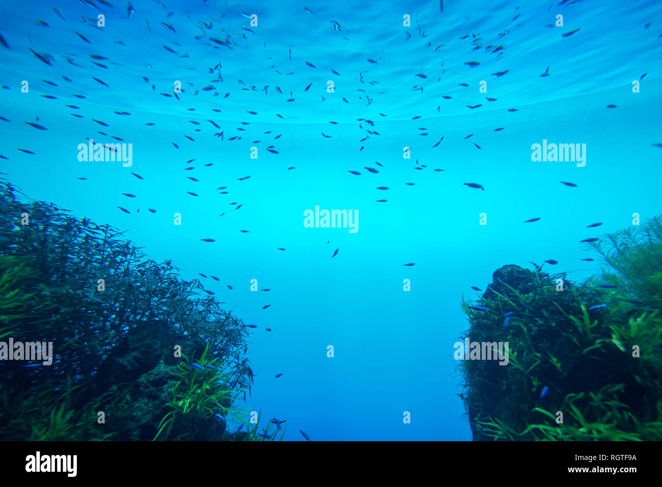 Sommer. Struktur der Wasseroberfläche. Unterwasser Hintergrund. Wellen Effekte. Blaue Unterwelt. Das Meer, auf das Meer. Tauchen. Blaue Meer Pool Wasser. Ansicht von unten. Stockfoto