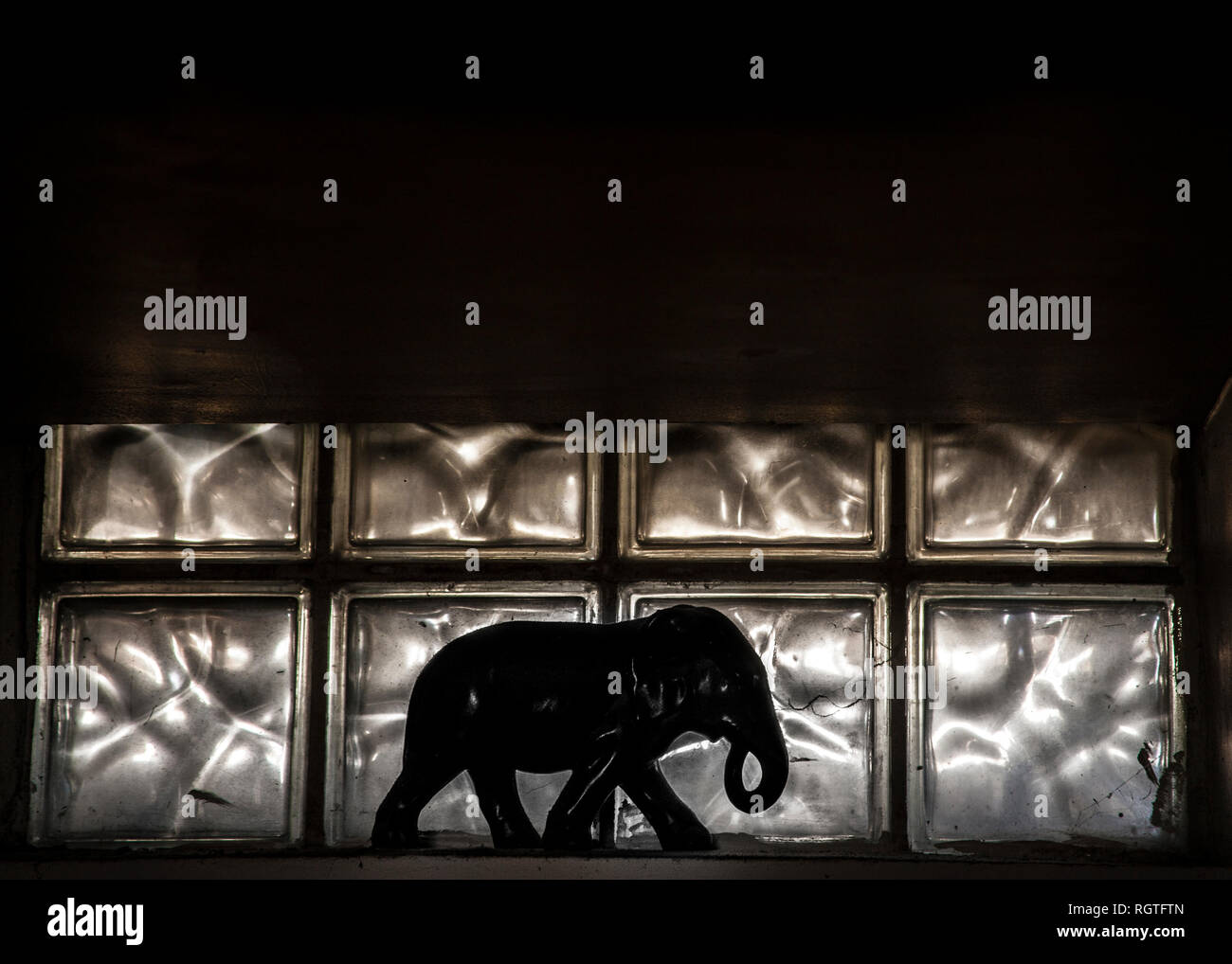 Schwarzer Keramik Elefant vor Fenster aus Glas Steine Stockfoto