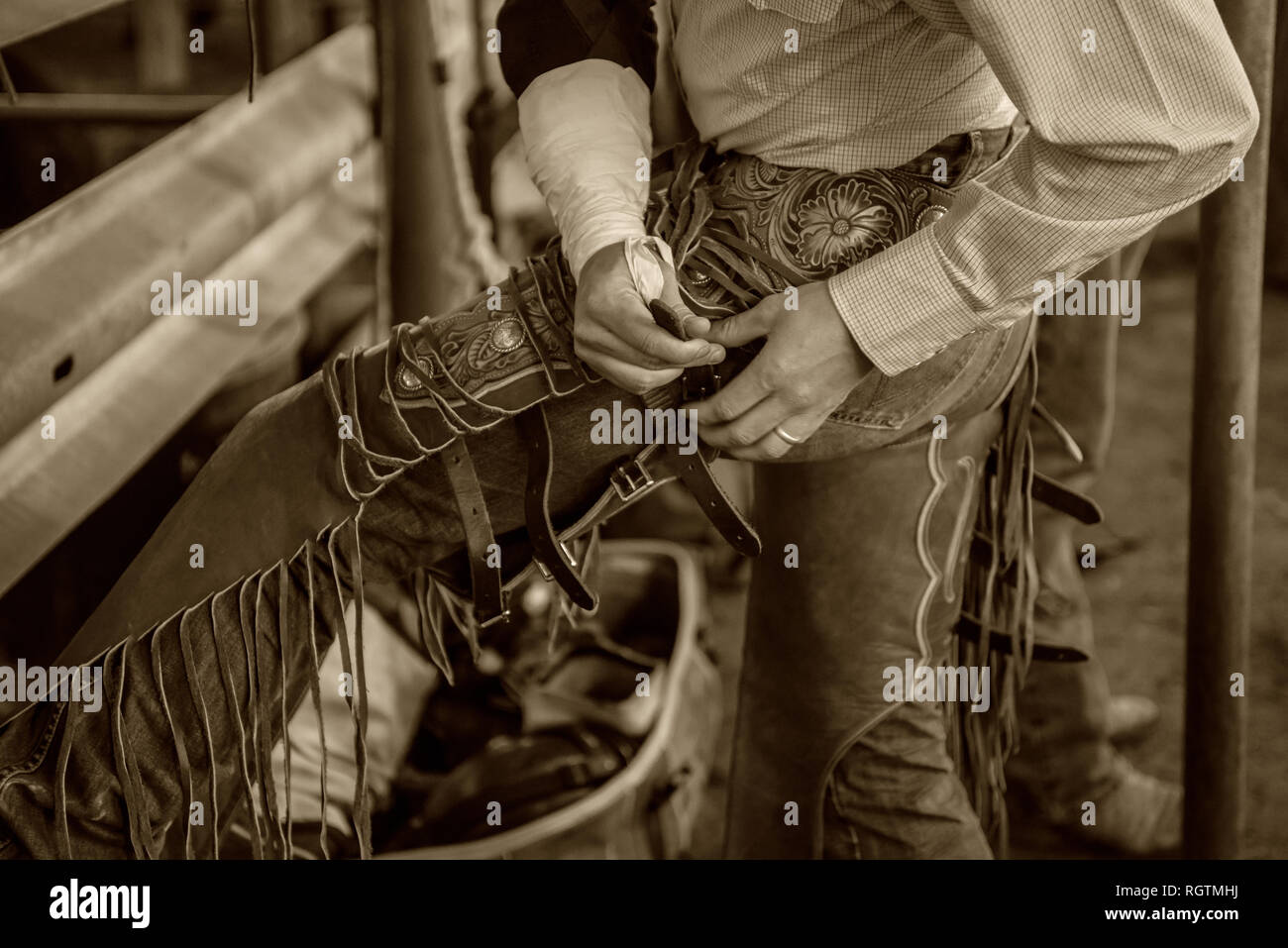 Professional Rodeo Cowboy Stockfoto