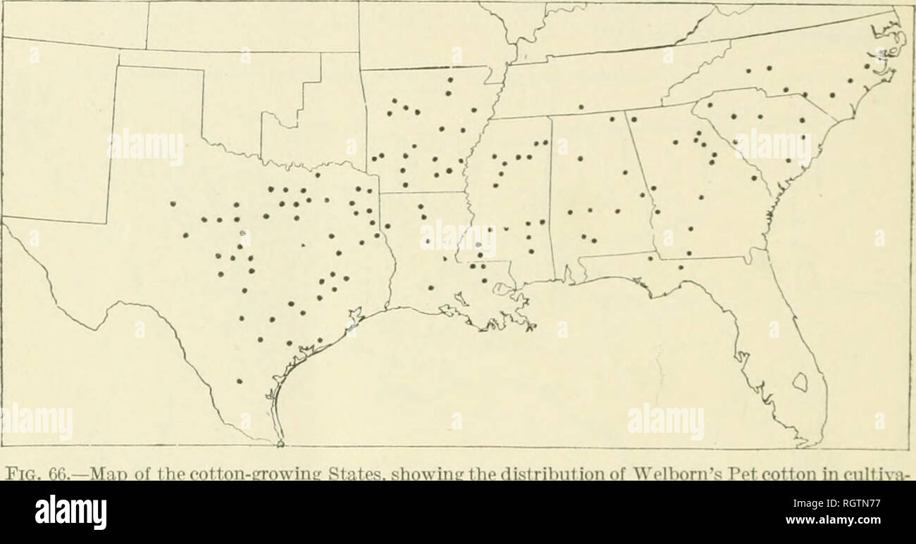 . Bulletin. 1901-13. Landwirtschaft Die Landwirtschaft. 118 VABIETIES DER AMERIKANISCHEN HOCHLAND BAUMWOLLE. Pfund. Diese Behauptung wurde von mehreren Wägungen nachhaltig." Der Anteil der gefunden wurde, um 39.6. Webb's Kameratasche wurde von V. T. Webb, Alpine, Talladega County, Ala. Welbom Pet entwickelt. Clustergruppe. (Auch als Welbom's Fancy Pet und Welbom's verbessert.) DistriVjution: Siehe Karte, Abbildung 66 bekannt. Alabama Bulletins 5, 12, 13, 16, 33, 34, 40, 52, 56, 76, 101, 107, 138, 140. Alabama (canebrake) Bulletins?, 11,14,18; zwölften und dreizehnten Jahresbericht. Arkansas Bulletin 23; Zweiter Jahresbericht. Georgien Bul Stockfoto