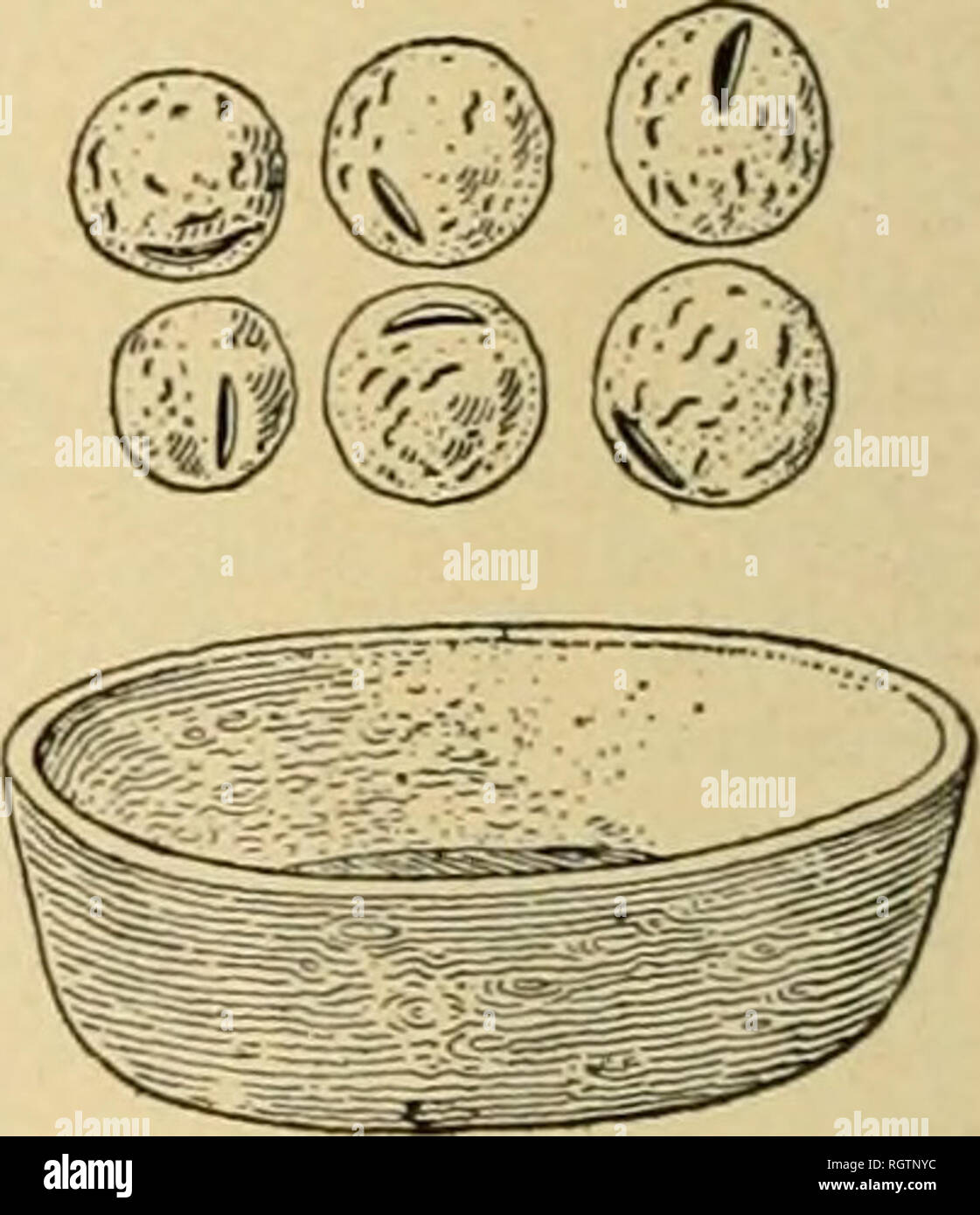 . Bulletin. Ethnologie. DOUBLE BALL UND STOCK Schüsselspiel. - eine Art Würfelspiel von Frauen bei den Algonkin, Iro-aus Quebec, Sioux und anderen nördlichen Stämme gespielt. Die Würfel aus Knochen Festplatten oder von Pfirsich und Pflaume Steine, die in eine hölzerne Schüssel oder einen Korb geworfen werden. Einige Cali-fornia Stämme mit einem großen flachen Korb.-cradle Cat's. - Der Trick des Webens Muster mit String bis - auf die Finger, die wir nennen Cat's Cradle, ist sehr allgemein bekannt, aber die Motive sind andere und viel komplizierter. Schüssel Spiel. Bitte beachten Sie, dass diese Bilder aus gescannten Seite Bilder, die Uhr können extrahiert werden Stockfoto