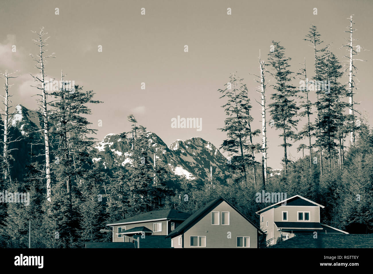 Neue Häuser neben den Wildgebieten des Tongass National Forest in der Nähe von Sitka, Alaska, USA. Stockfoto