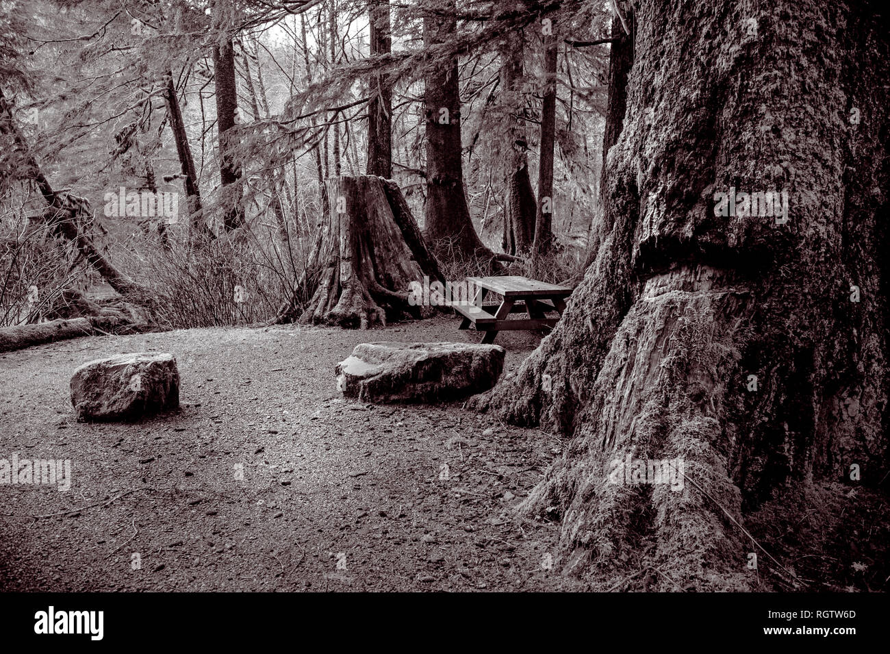 Camping in der Garrigavan Recreation Area - Tongass National Forest in der Nähe von Sitka, Alaska, USA. Stockfoto