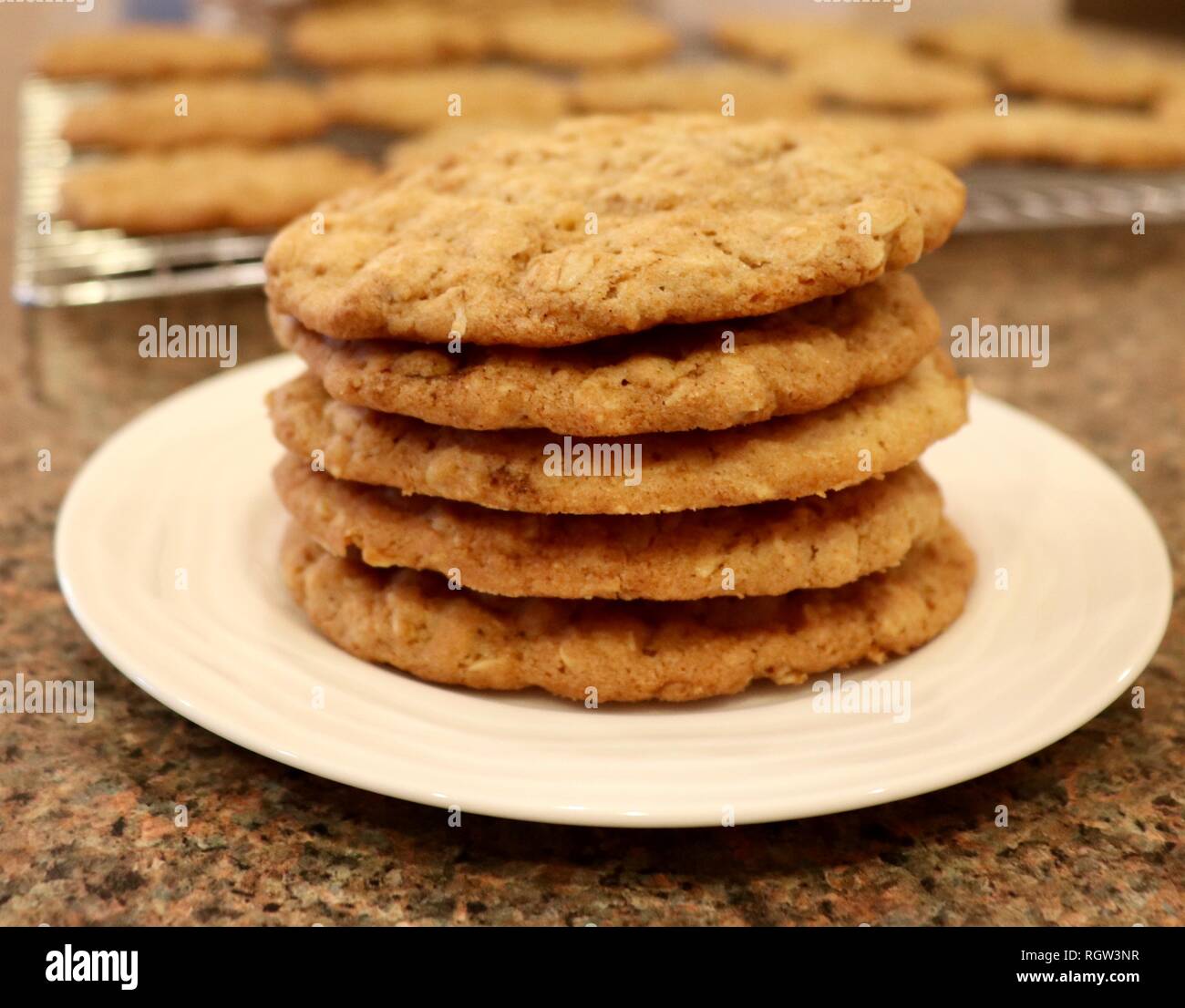 Frisch gebackene Plätzchen Stockfoto