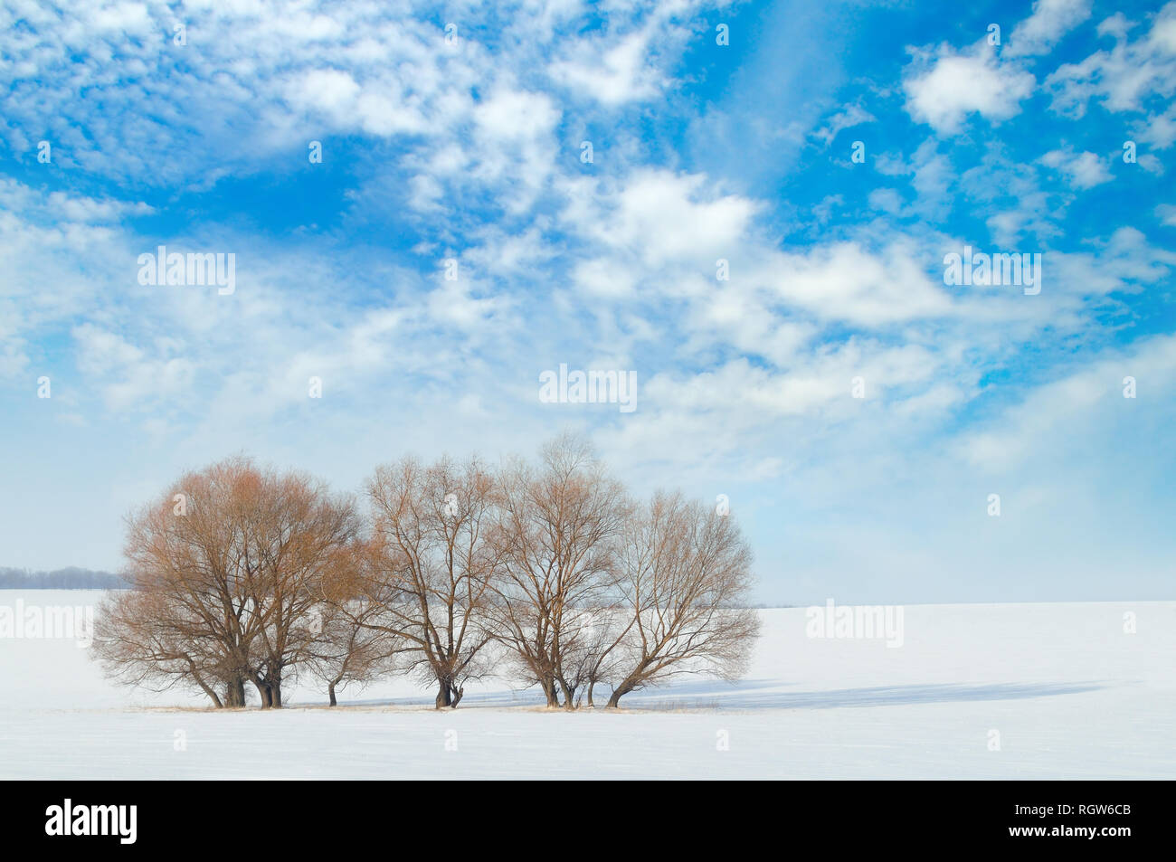 Schneebedeckten Feld und Bäume im Schnee Stockfoto