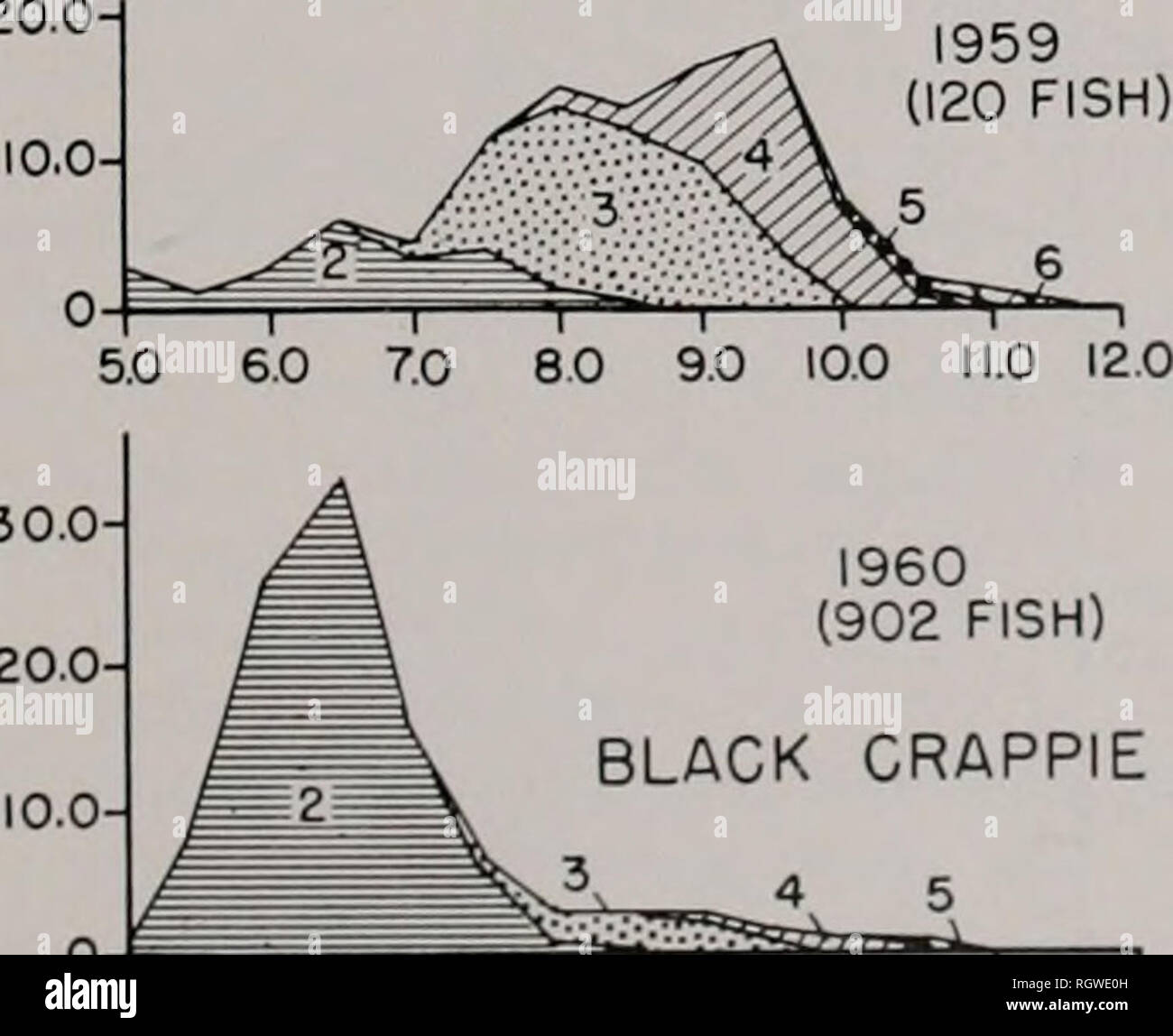 . Bulletin. Natural History; Natural History. 1959 (120) 30,0 50 60 7,0 8,0 9,0 10,0 11,0 12 0.Q 1954 (350 10.0 Fisch). 10.0 0-f =^^^^^^^^r^r^^^y^^"*"*^^ - ich 0-1 1'''-e'''' 50 60 70 80 90 100 11,0 12 0 5,0 6,0 70 80 90 10,0 11,0 12,0 LÄNGE IN ZOLL Abb. 26. - Länge - Häufigkeit und Altersverteilung der Schwarzen crappies im Test - net Posten am Lake Chautauqua, Ende September und Anfang Oktober. 1950-1955 und 1957-1960. Bitte beachten Sie, dass diese Bilder extrahiert werden aus der gescannten Seite Bilder, die digital für die Lesbarkeit verbessert haben mögen - Färbung und das Aussehen von THESS Stockfoto