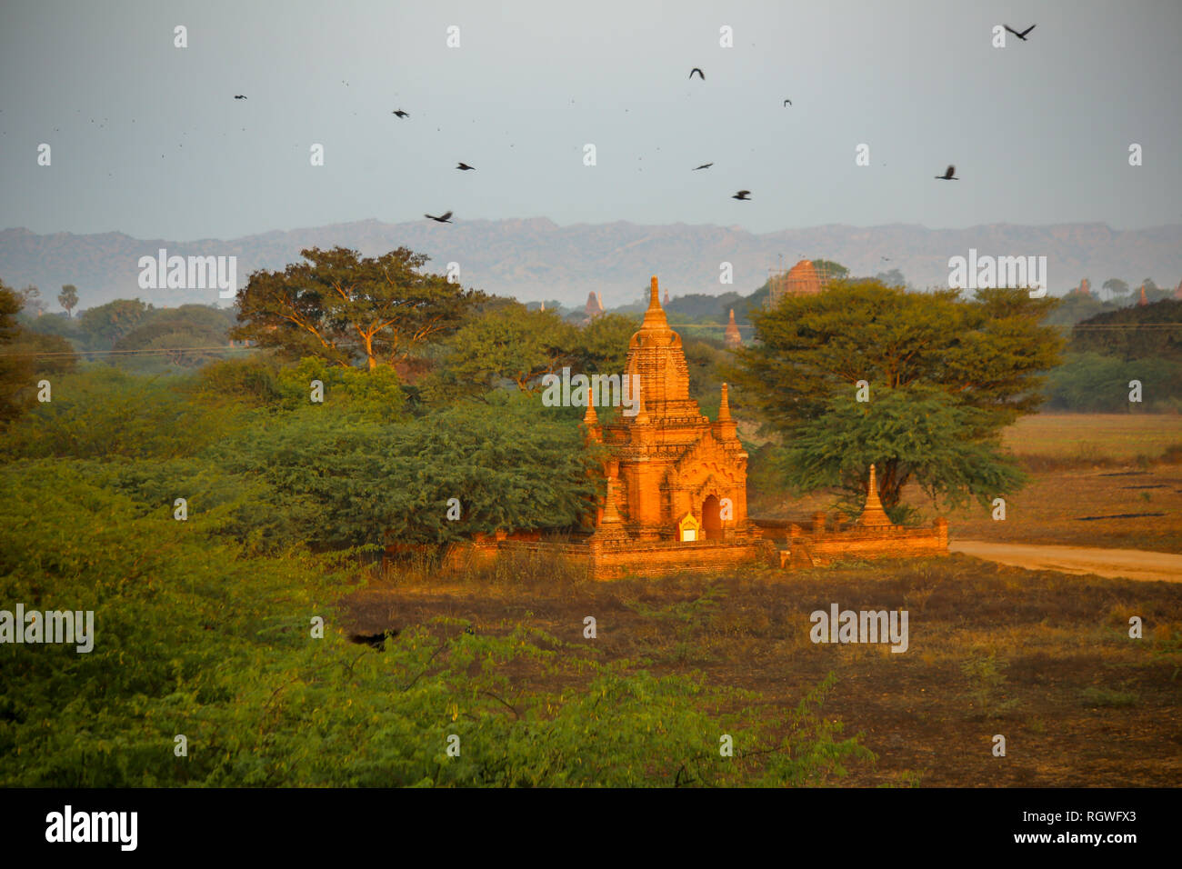 Pagoden (Tempel) bei Sonnenaufgang. Bagan Myanmar Stockfoto