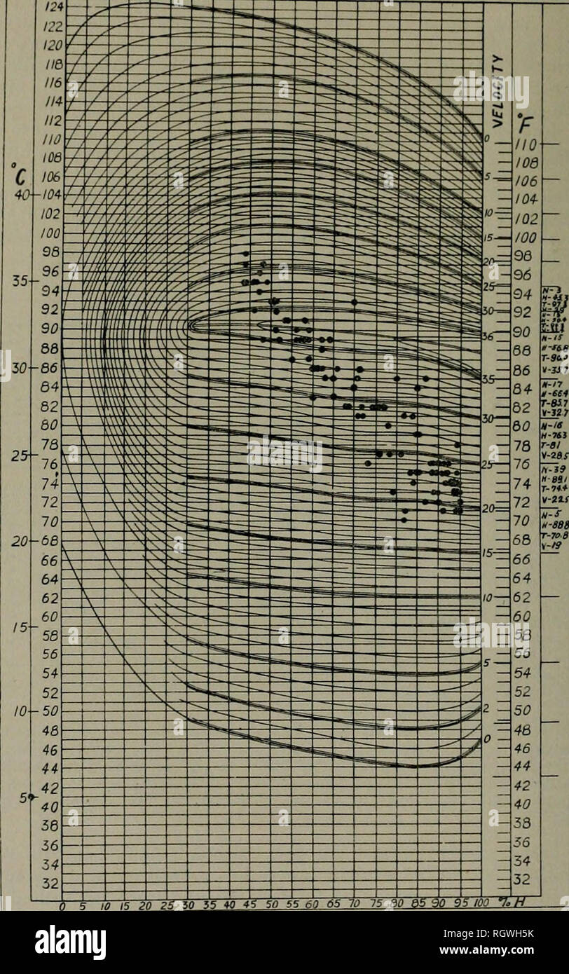 Bulletin Natural History Natural History 394 Schwein 19