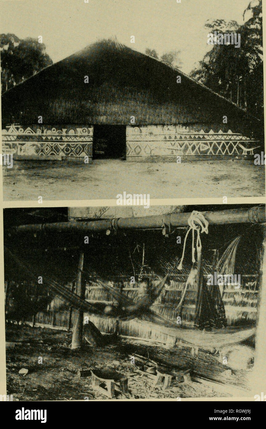 . Bulletin. Ethnologie. Platte 93.-Haus Typen der Nordwesten Amazon.obere Papony, Kolumbien. Unten: Interieur: American Museum of Natural History.) Top: Tucano Haus des Baniva Haus. (Mit freundlicher Genehmigung. Bitte beachten Sie, dass diese Bilder sind von der gescannten Seite Bilder, die digital für die Lesbarkeit verbessert haben mögen - Färbung und Aussehen dieser Abbildungen können nicht perfekt dem Original ähneln. extrahiert. Smithsonian Institution. Büro der amerikanischen Ethnologie. Washington: G. S. O. Stockfoto