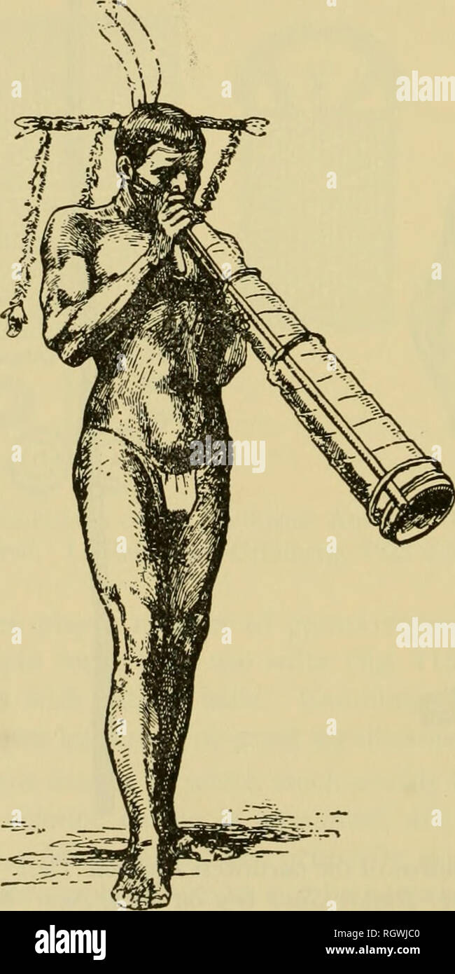 . Bulletin. Ethnologie. FiGtJRE 116.- Tuyuca" Yurupary" fest. Die wilde Früchte, mit Musik. (Nach Koch-Grunberg, 1923 b). Abbildung U 7.- Tuytica" Yurupary" Tänzerin. (Nach Koch-Griinberg, 1923 b). Bitte beachten Sie, dass diese Bilder sind von der gescannten Seite Bilder, die digital für die Lesbarkeit verbessert haben mögen - Färbung und Aussehen dieser Abbildungen können nicht perfekt dem Original ähneln. extrahiert. Smithsonian Institution. Büro der amerikanischen Ethnologie. Washington: G. S. O. Stockfoto