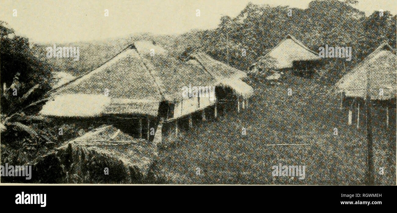 . Bulletin. Ethnologie. Platte 57.- Cayapa Häuser und das Dorf. Top: Typische Wohnung entlang des Flusses. Zentrum: unfertige Haus mit Dach. Unten: Chief's House bei Sapayo Grande. (Nach Barrett, 1925.). Bitte beachten Sie, dass diese Bilder sind von der gescannten Seite Bilder, die digital für die Lesbarkeit verbessert haben mögen - Färbung und Aussehen dieser Abbildungen können nicht perfekt dem Original ähneln. extrahiert. Smithsonian Institution. Büro der amerikanischen Ethnologie. Washington: G. S. O. Stockfoto