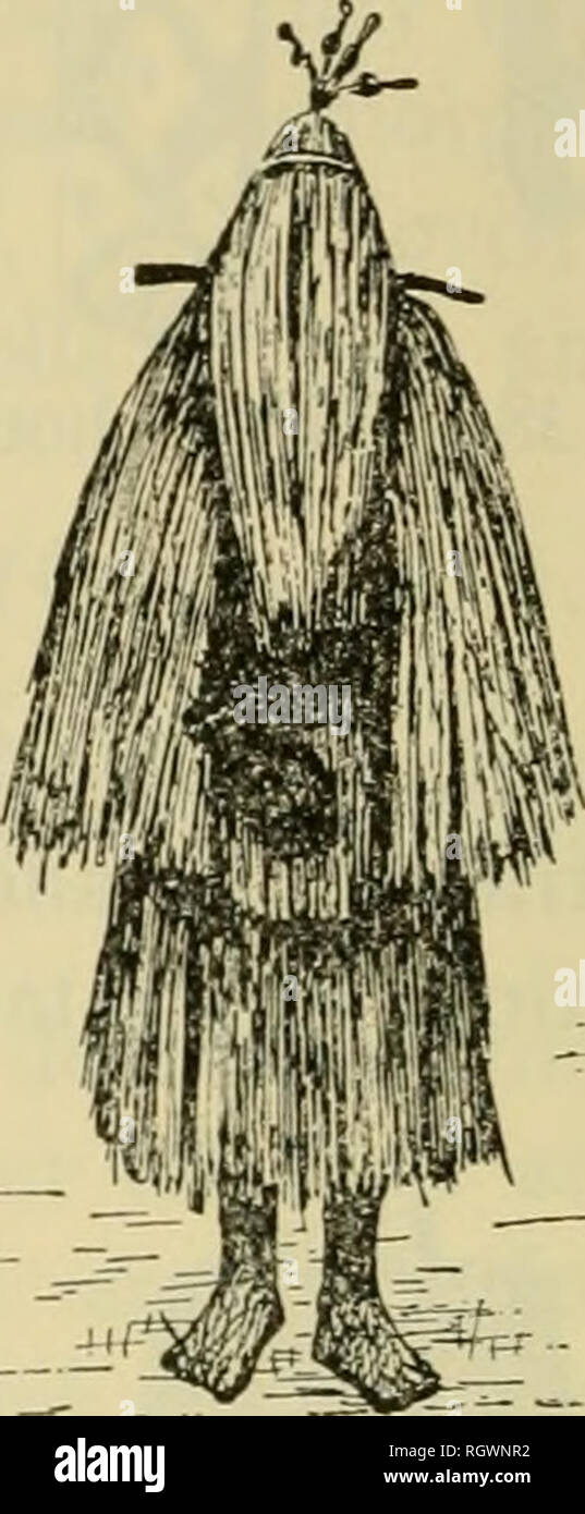 . Bulletin. Ethnologie. Abbildung 40.- Bacdiri maskierten Tänzer. (Gezeichnet von Steinen, 1894, Abb. 98 und 90.) südlich des Amazonas, Masken waren höchst auf der oberen Xingu River entwickelt, aber nicht mehr gebildet werden. Sie vertreten die Tiere, sondern waren wie menschliche Gesichter geprägt, das Urbild, die nur durch ein Muster in der Mitte des Gesicht malen vorgeschlagen. Die "mereschu" Design wurde für alle Masken. Die einfachste Art der Maske könnte das Fischernetz, dass ein Nahukzva auf seinem Kopf (Steinen, 1894). Mehrere aufwendige Typen unterschieden werden: (1) Zoomorphe Kopfbedeckungen aus geschnitzten Woo Stockfoto