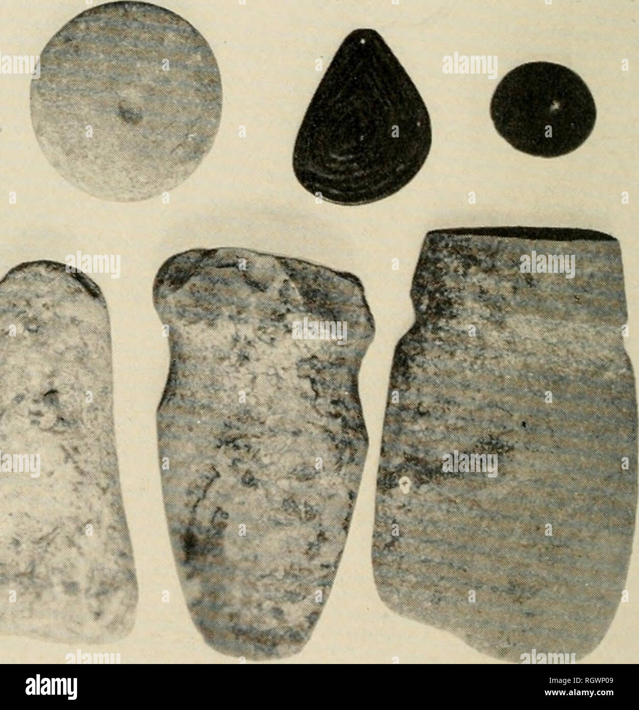 . Bulletin. Ethnologie. 1. Wurfpunkte Eingebettet in Wirbel. Links. Beerdigung Nr. 85: Recht. Beerdigung Nr. 84. Seite Ct - 27. ir-. 2. Achsen. Pistill. Anhänger, Konus. Hammerstone. und perforierte Stein Zylinder. Seite CT-27. Bitte beachten Sie, dass diese Bilder sind von der gescannten Seite Bilder, die digital für die Lesbarkeit verbessert haben mögen - Färbung und Aussehen dieser Abbildungen können nicht perfekt dem Original ähneln. extrahiert. Smithsonian Institution. Büro der amerikanischen Ethnologie. Washington: G. S. O. Stockfoto