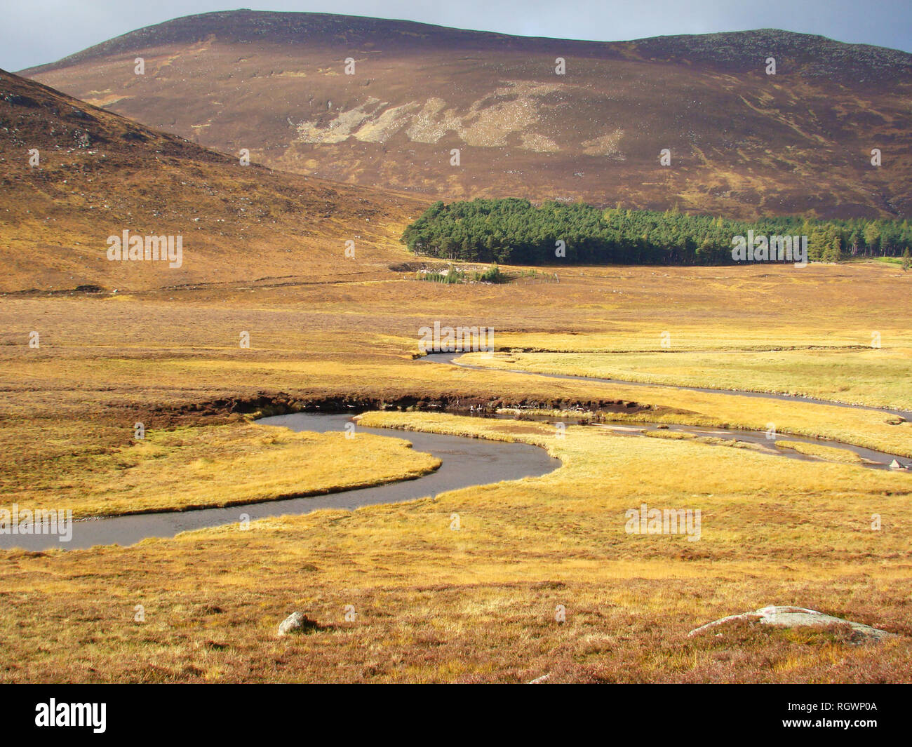 Moorlandschaften, Moorlandschaften, Moorlandschaften und Hügel in der Nähe von Loch Muick im Cairngorms National Park, Schottland Stockfoto