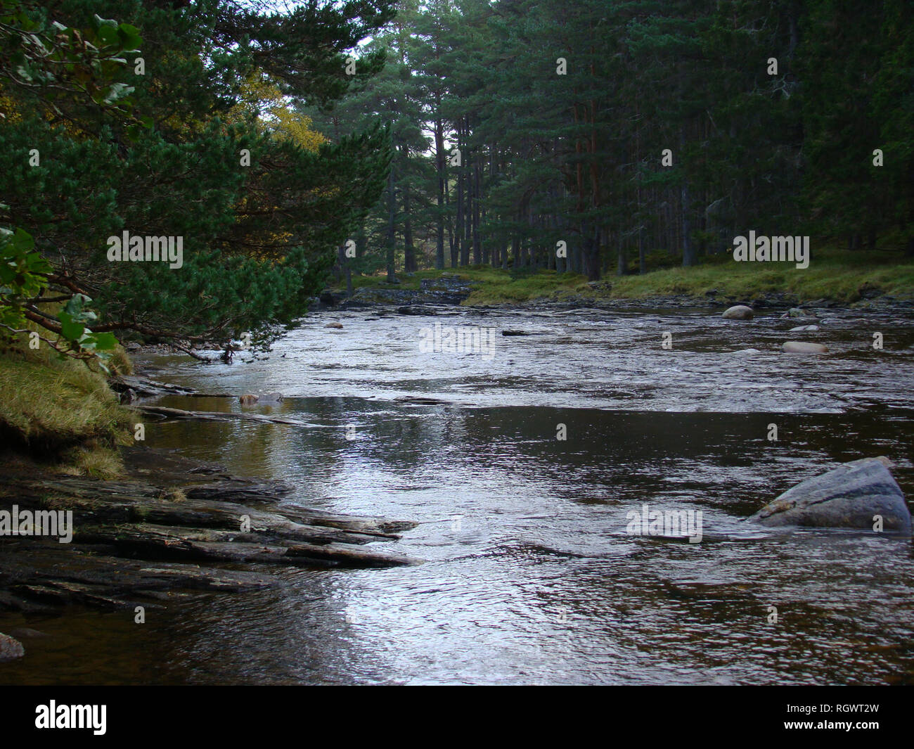 Flüsse und Bäche im Herzen des Cairngorms National Park, Schottland Stockfoto